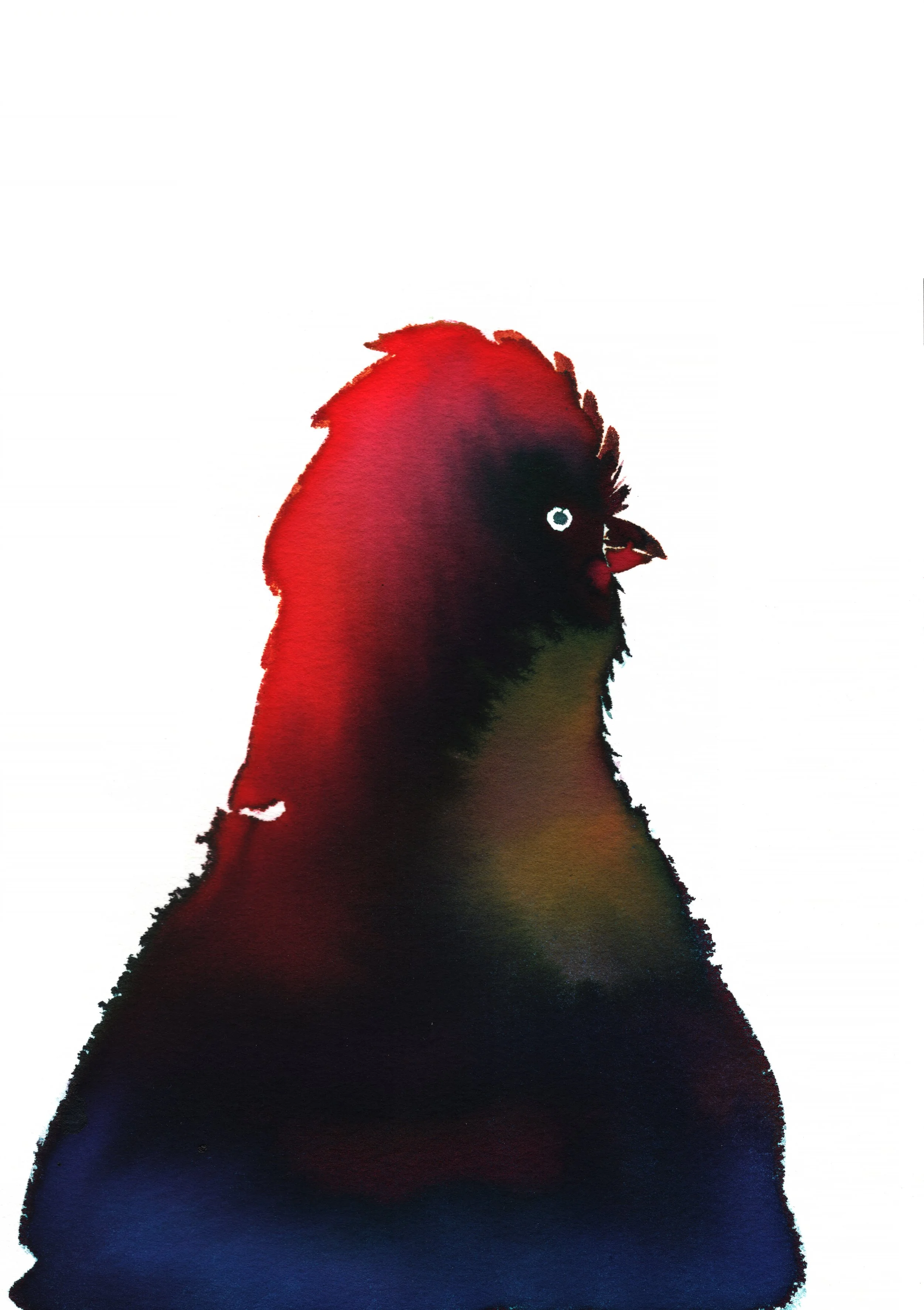 Indigo Chicken