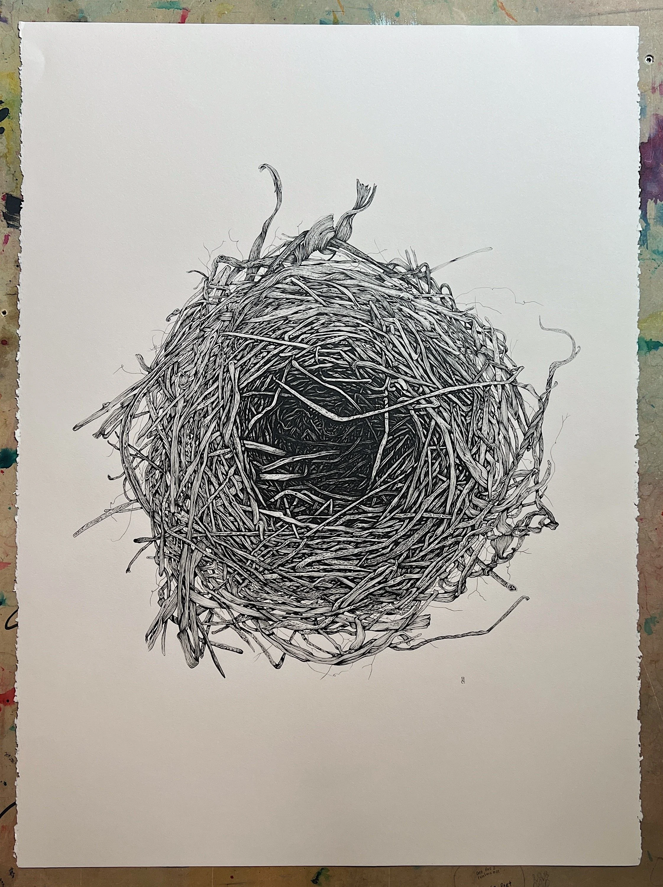 22" X 30" - "Nest VIII" Original Ink Drawing