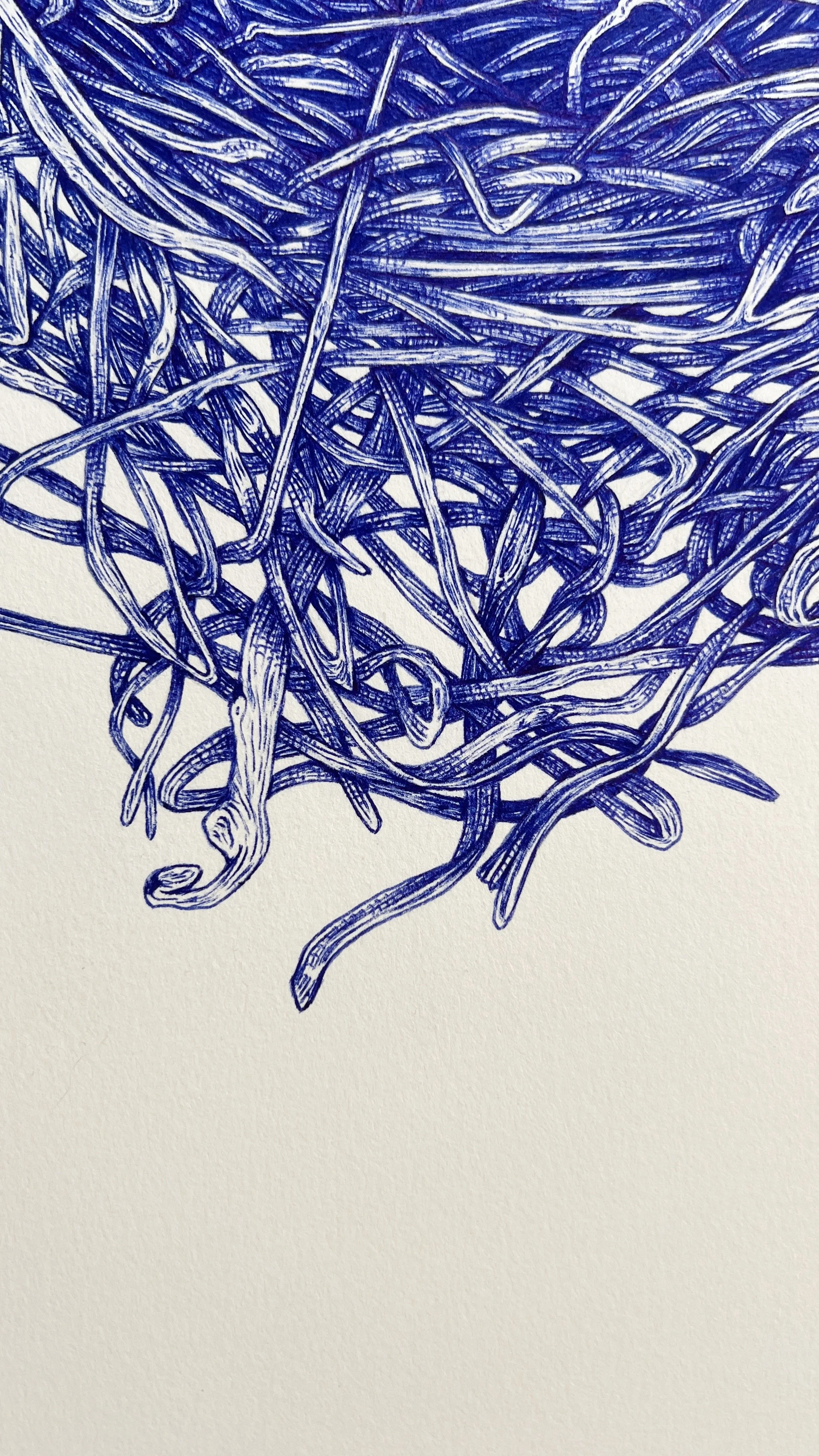 Blue Bird Nest In Blue Ink 1.JPG