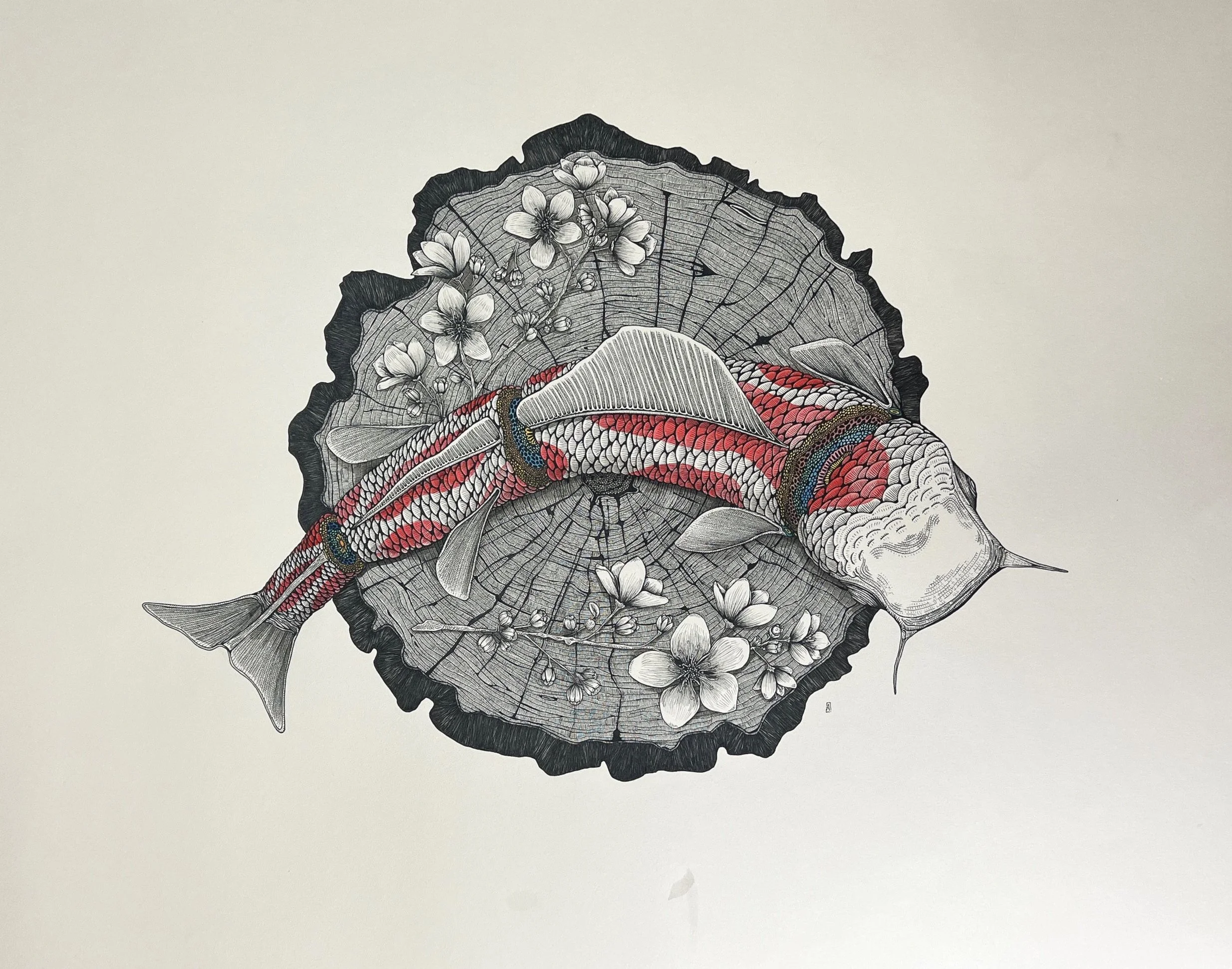 2023 Koi Drawings