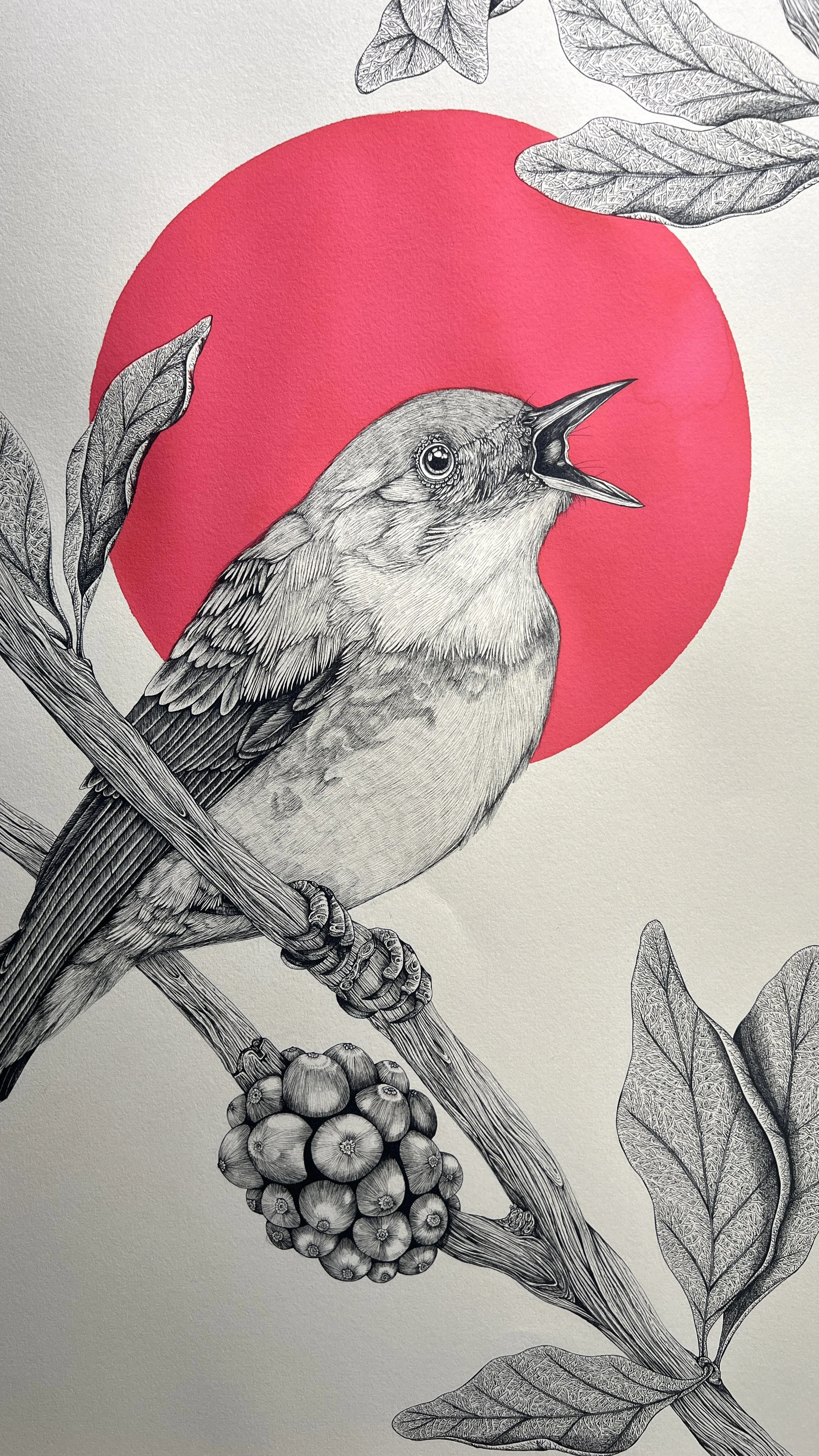 The Cerulean Warbler