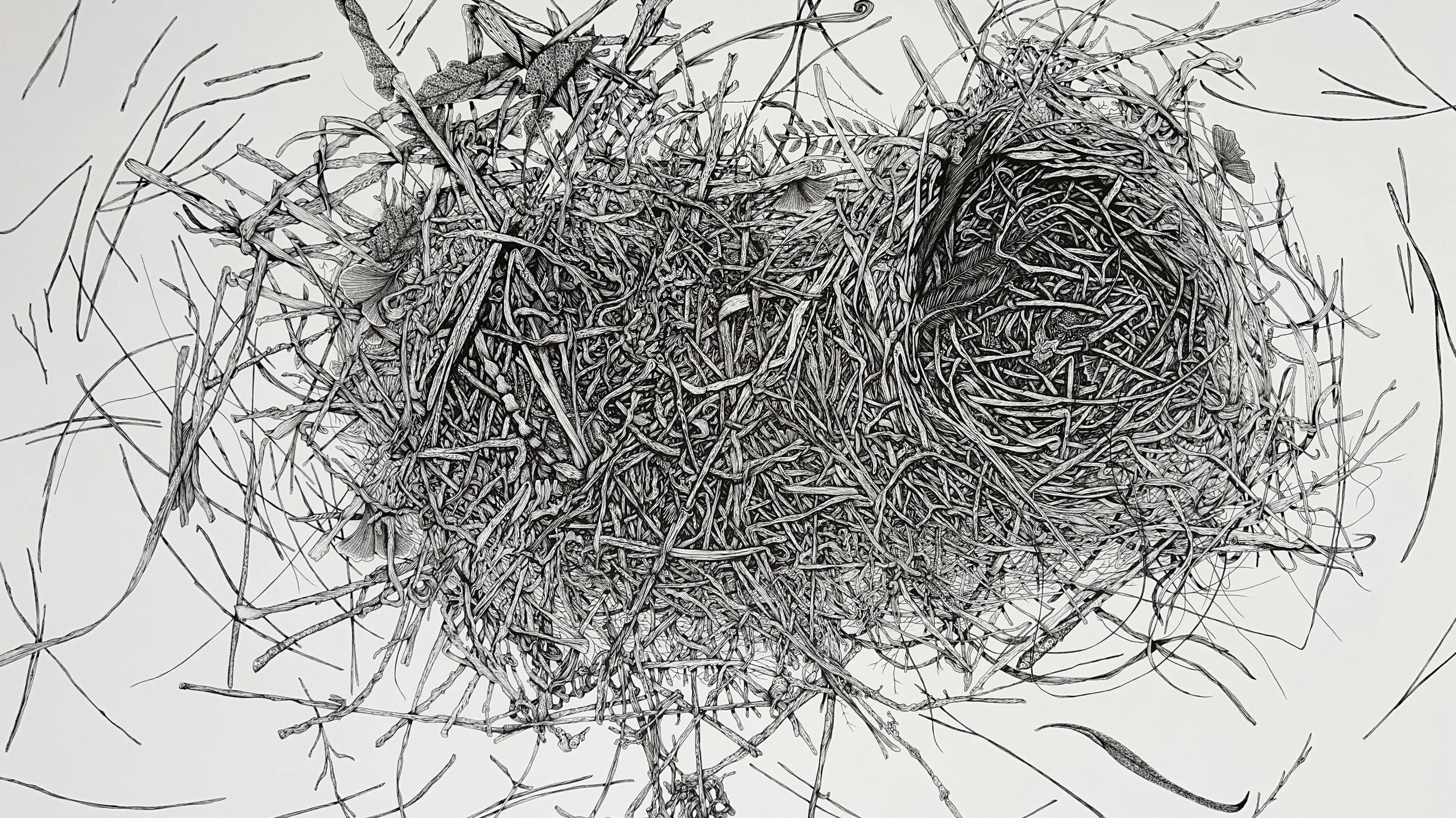 An American Family, November 5th, 2024