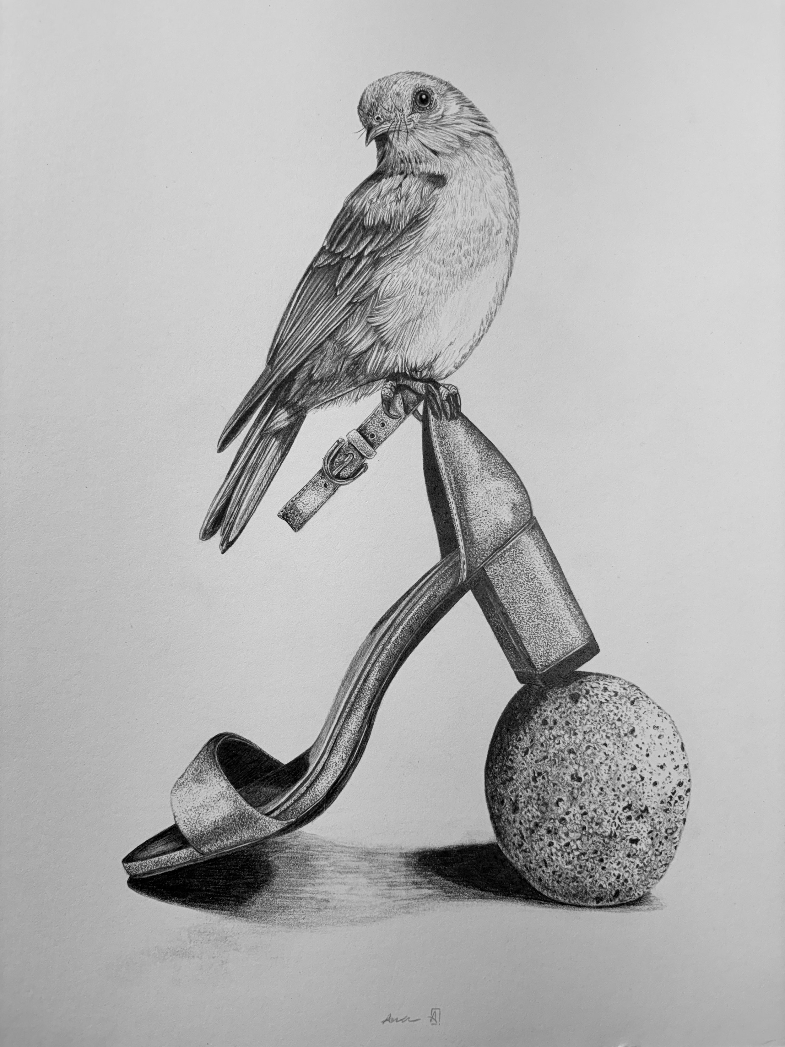 sketch---Naturalizer-vera.jpg