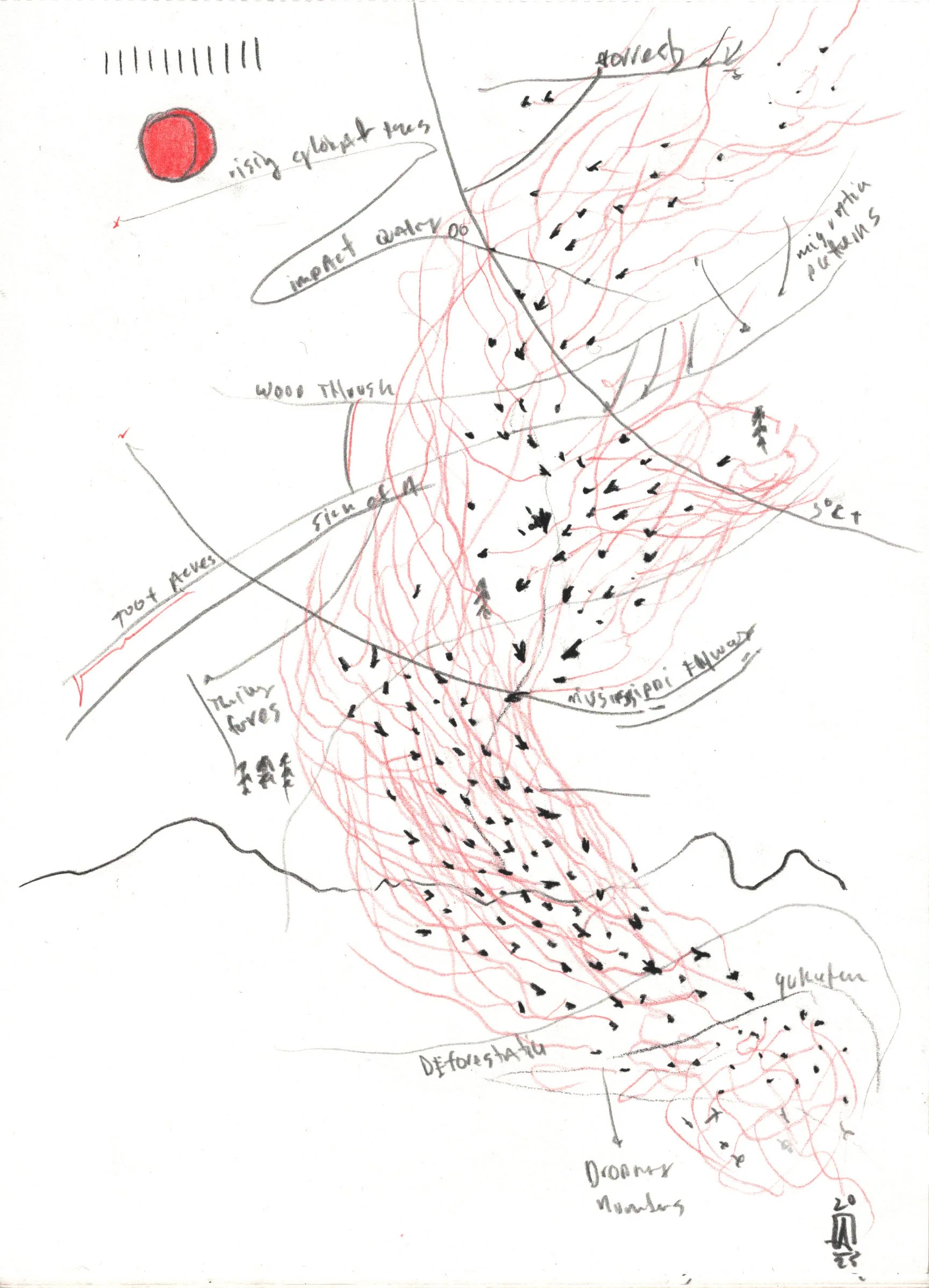 Paths A 6 Pack Prints 5x7