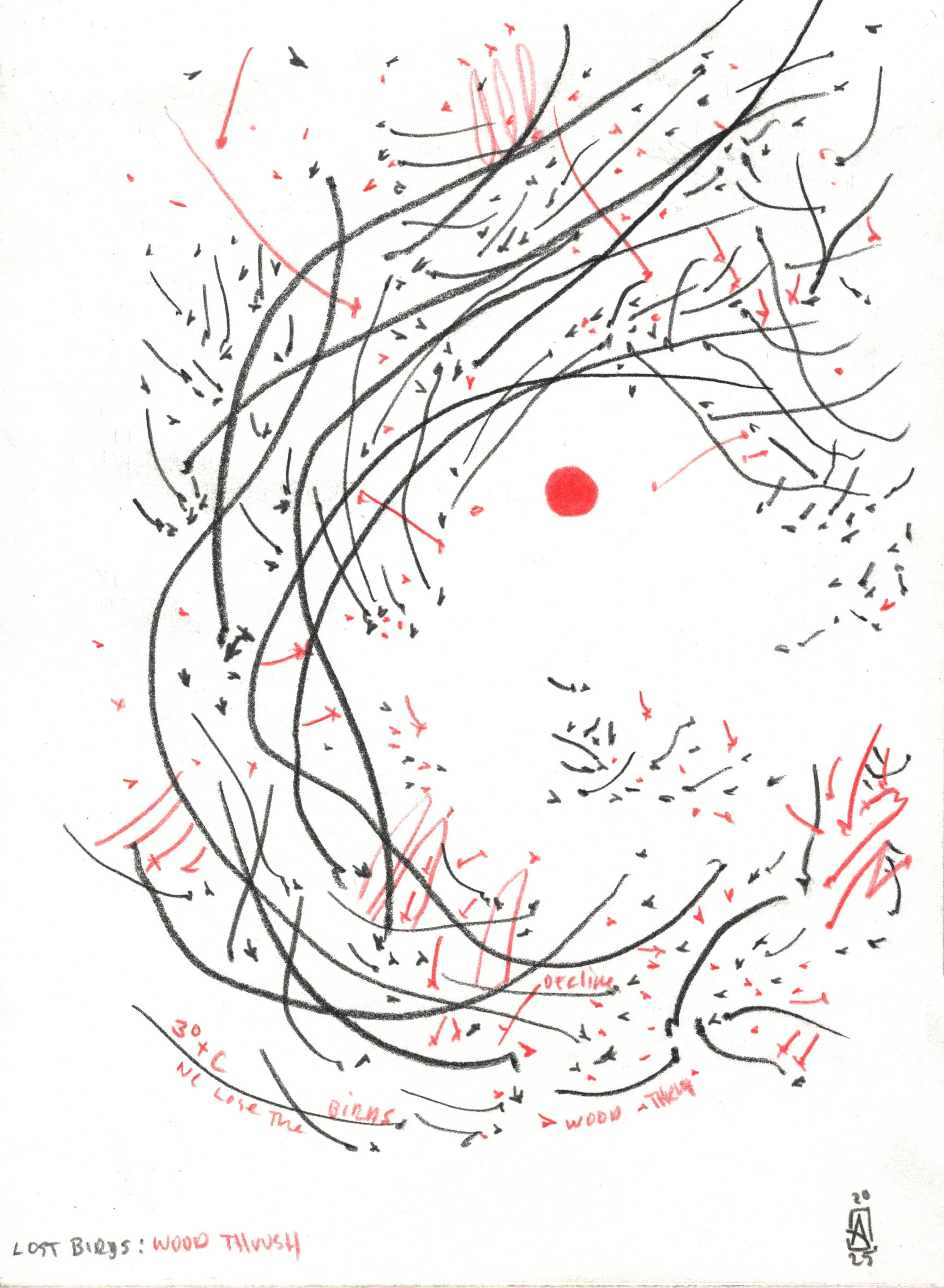 Mississippi Flyway Print 5x7