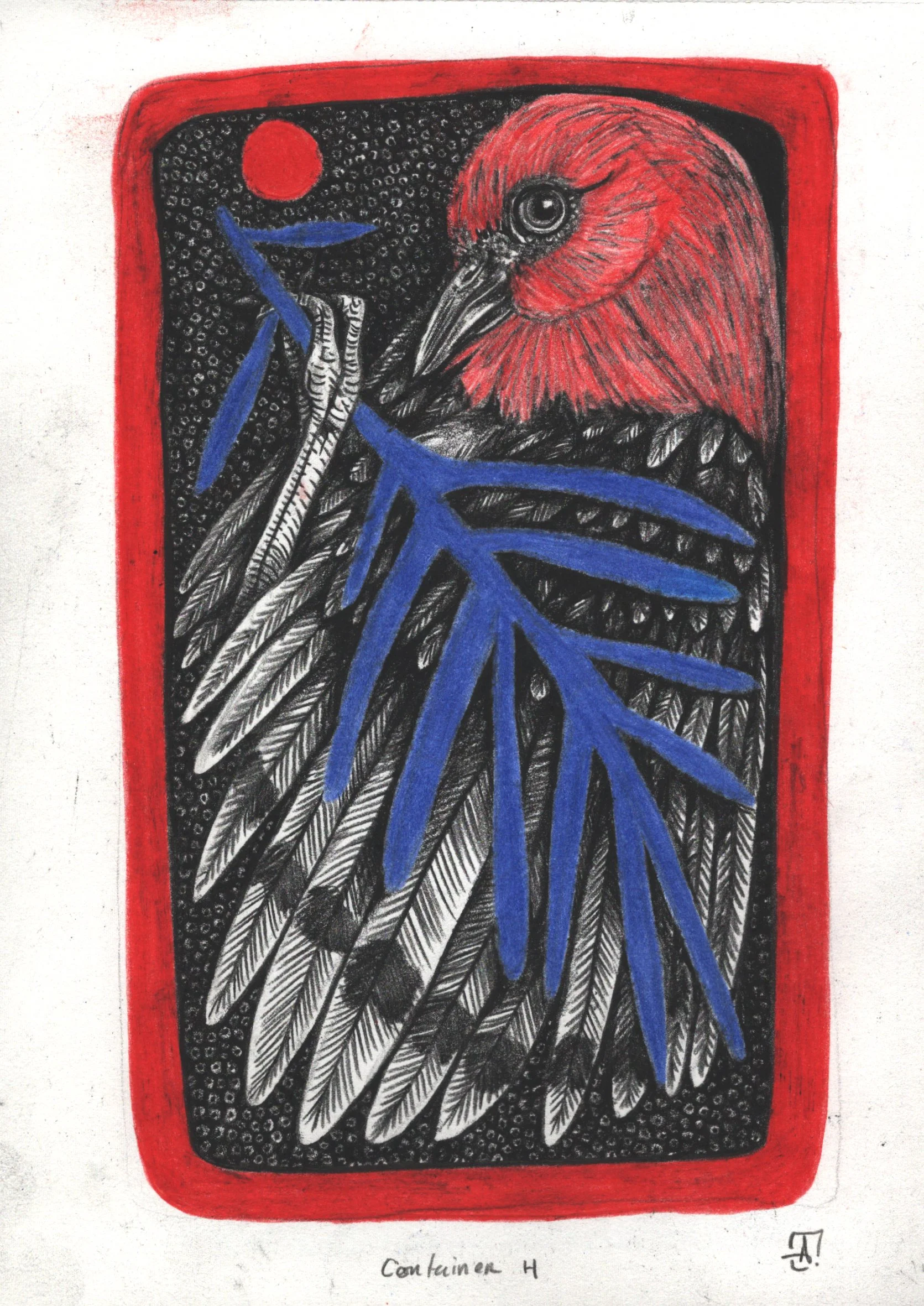 Compartments A 6 Pack Prints 5x7