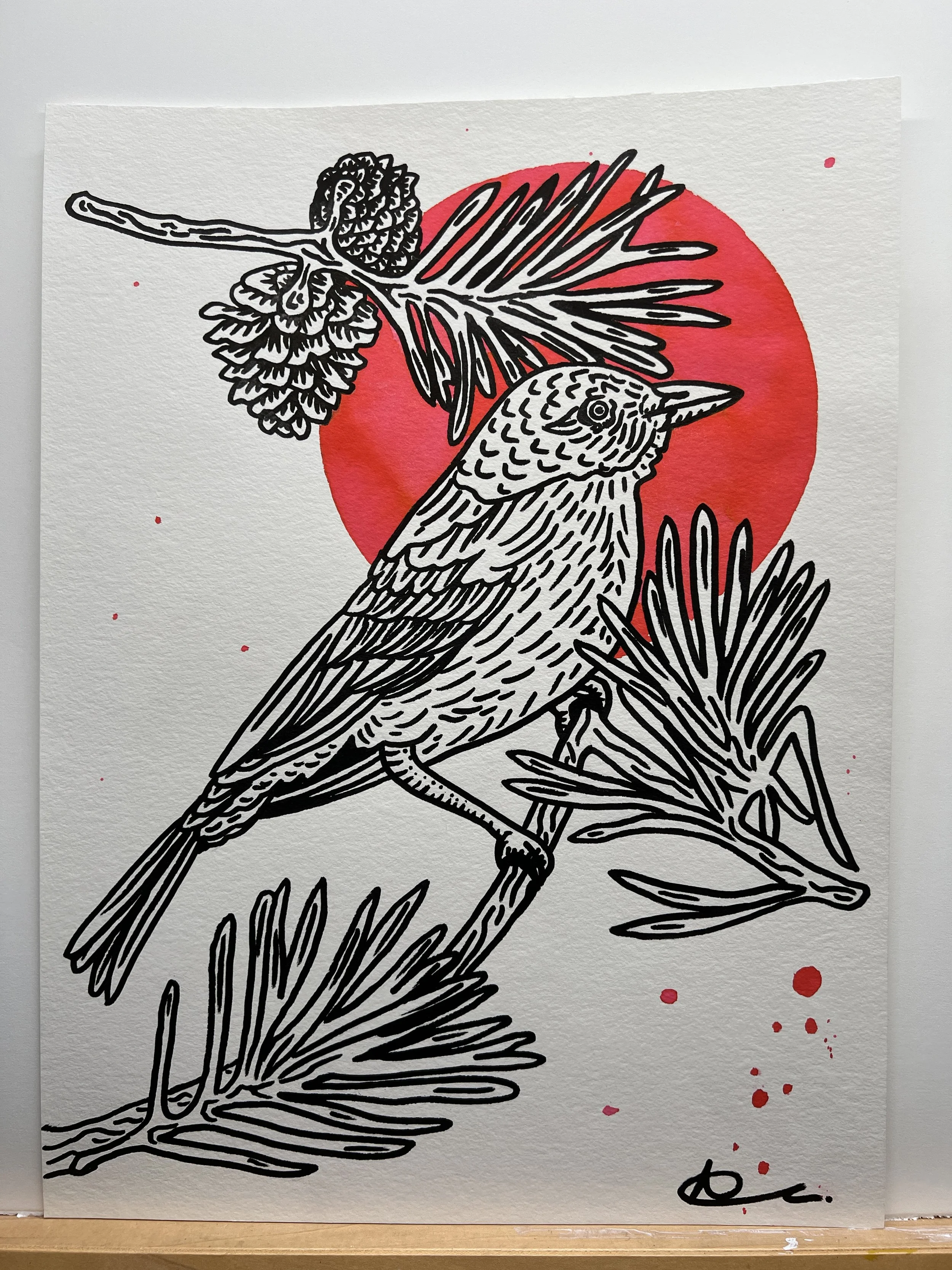 Pine Warbler, black and red