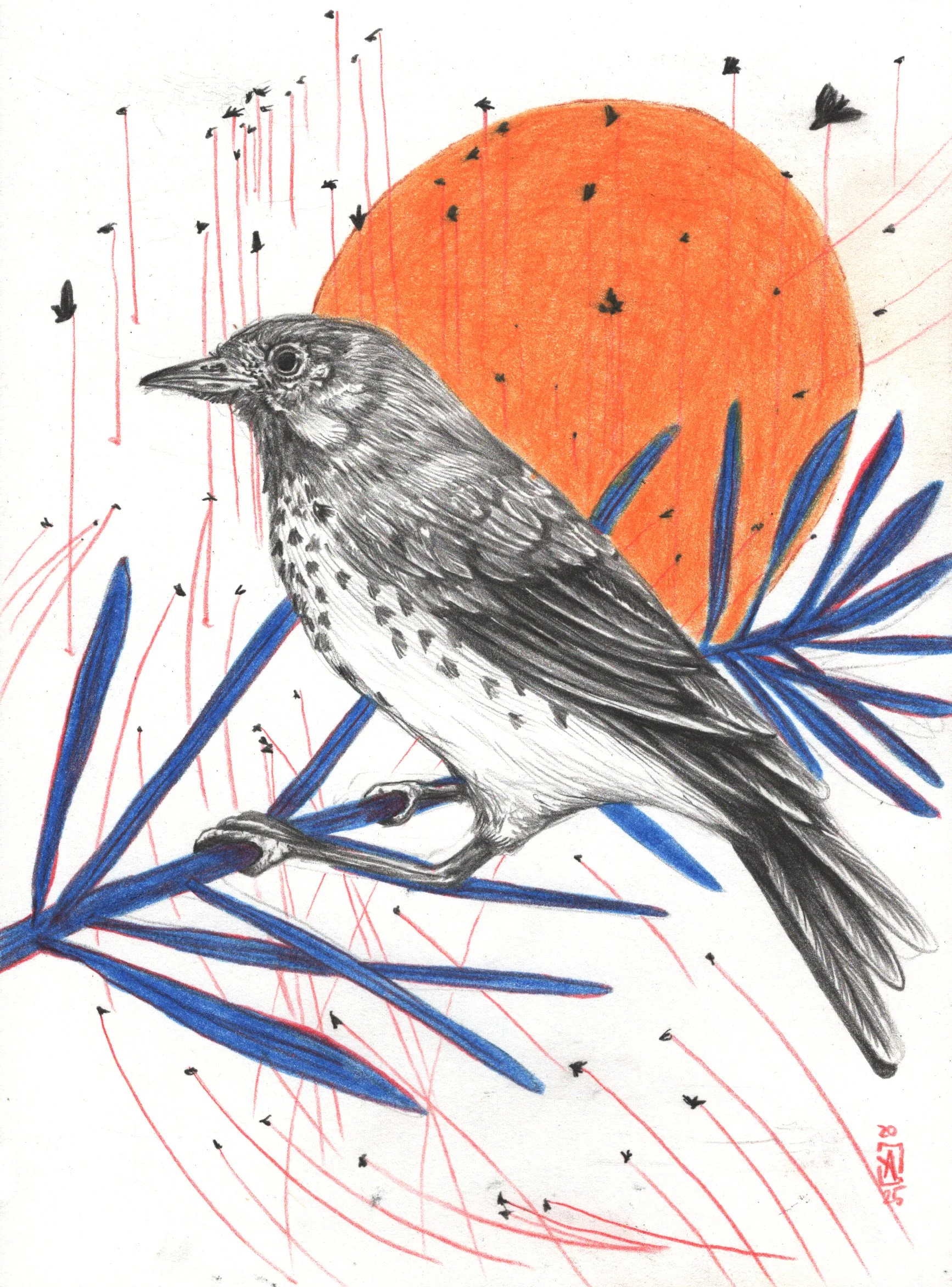 Paths B 6 Pack Prints 5x7