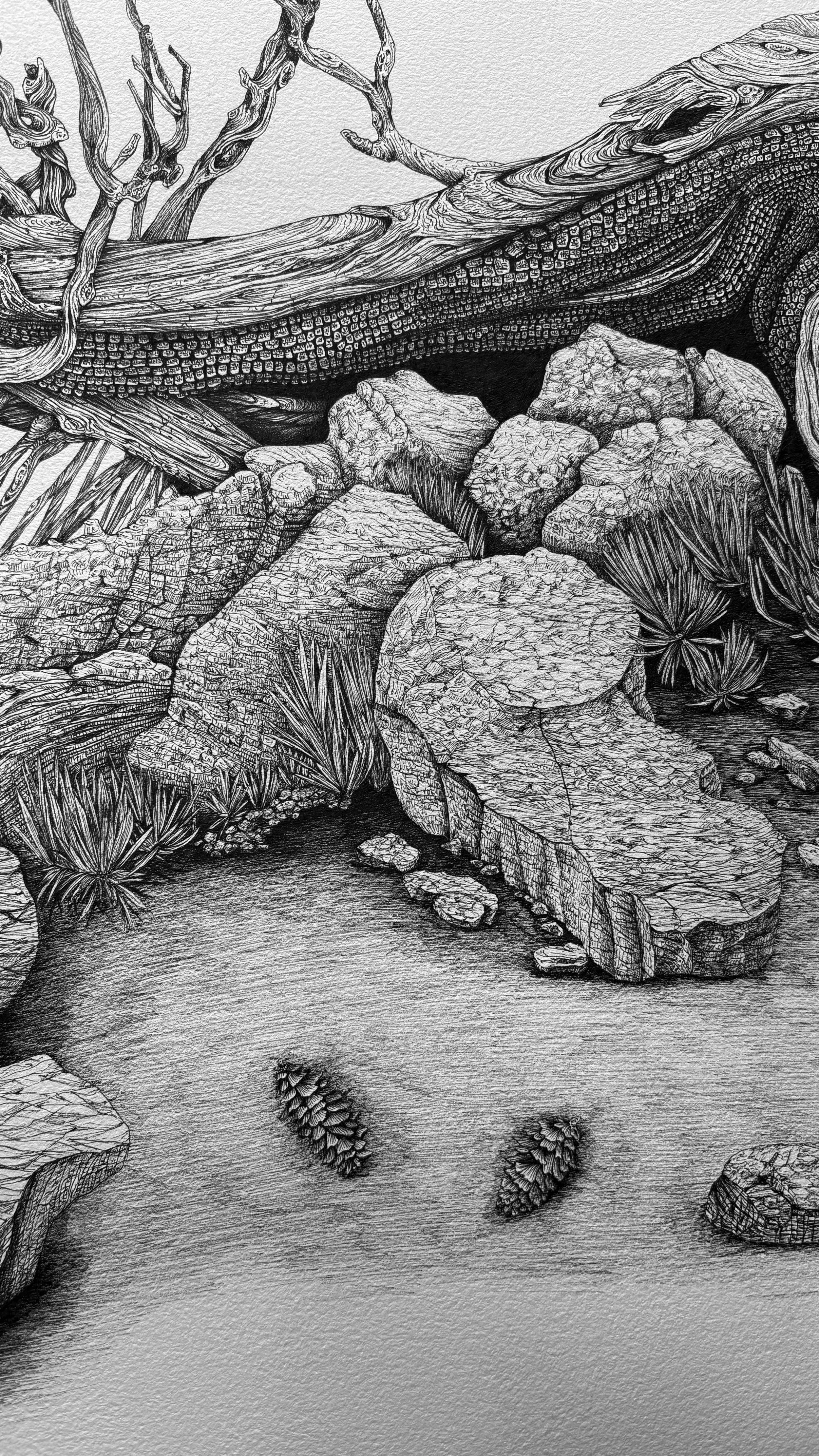 BRISTLE-CONE-DETAIL 2.jpg (Copy)