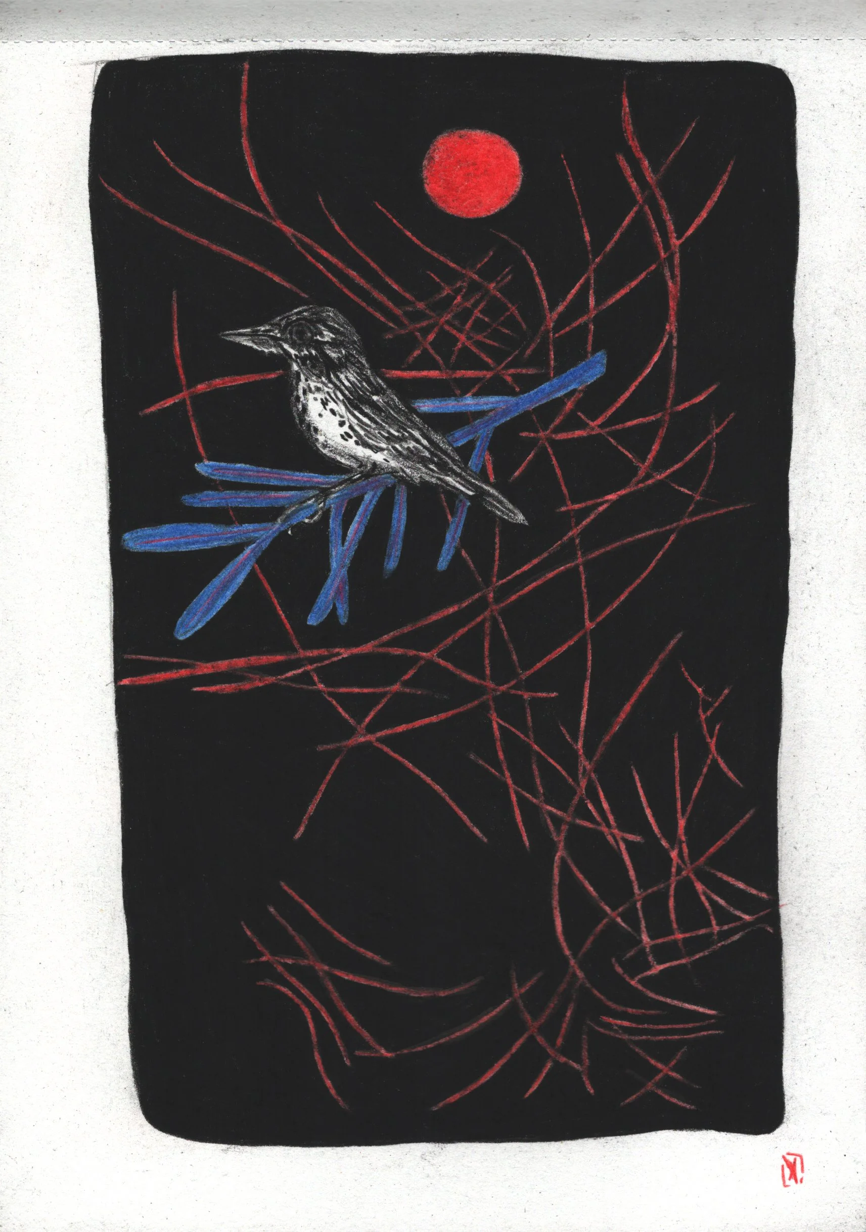 Night Flight Patterns Print 5x7