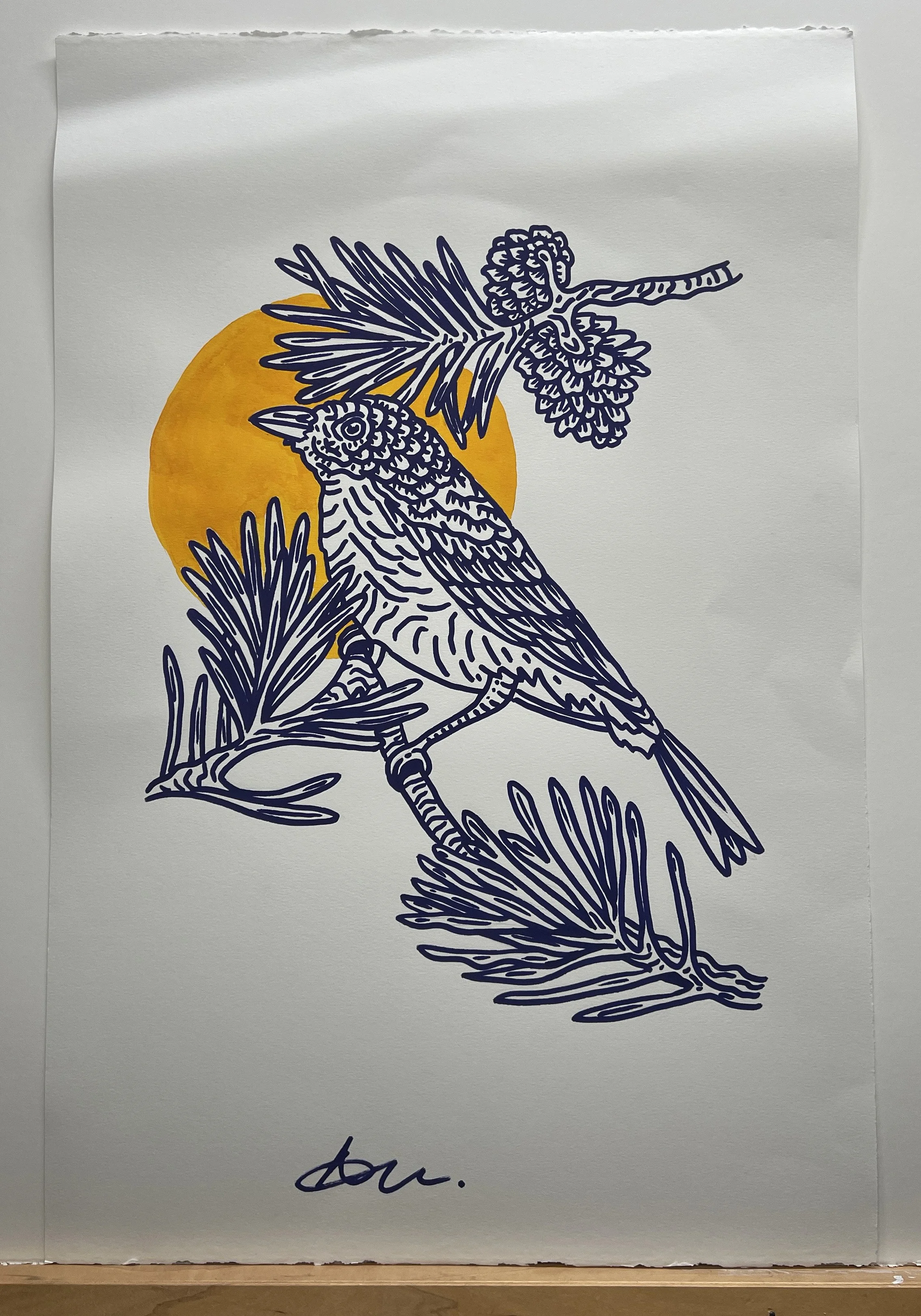 Pine Warbler, indigo & yellow 1