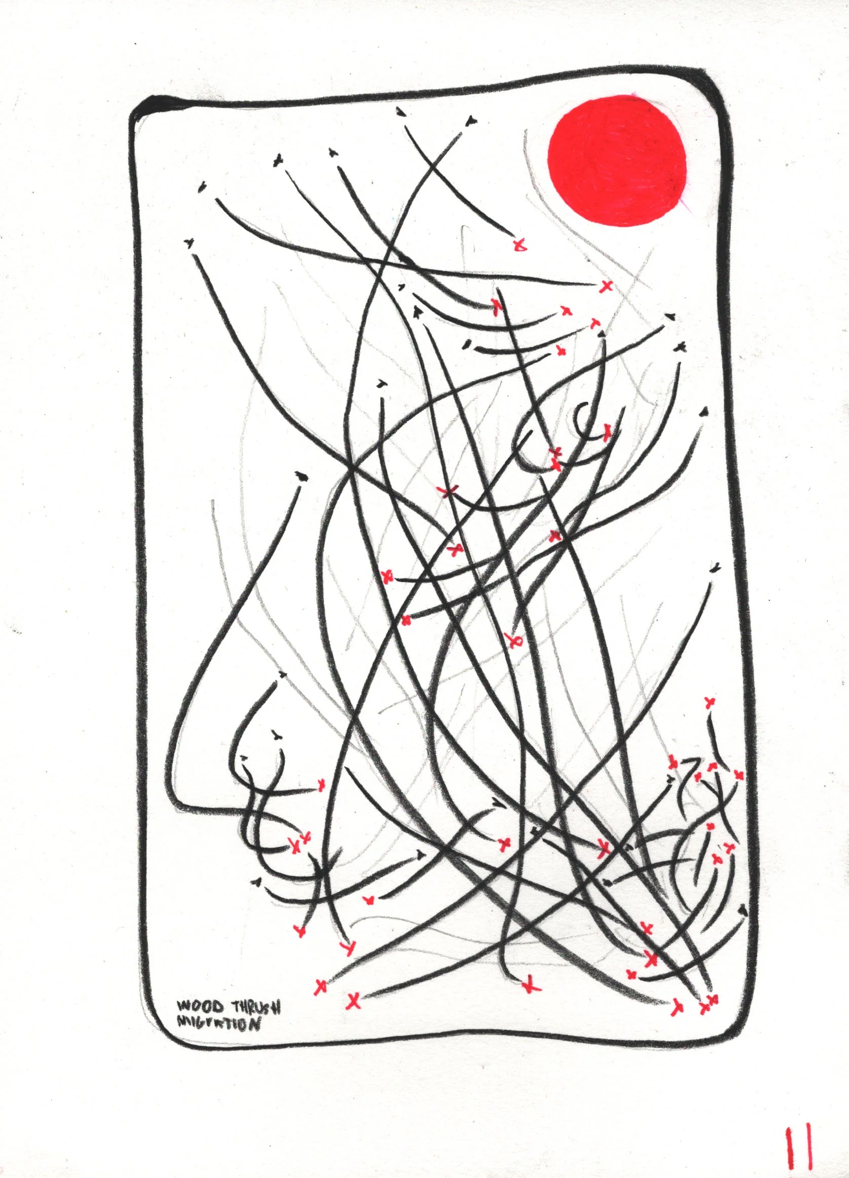 Wood Thrush Migration Print 5x7