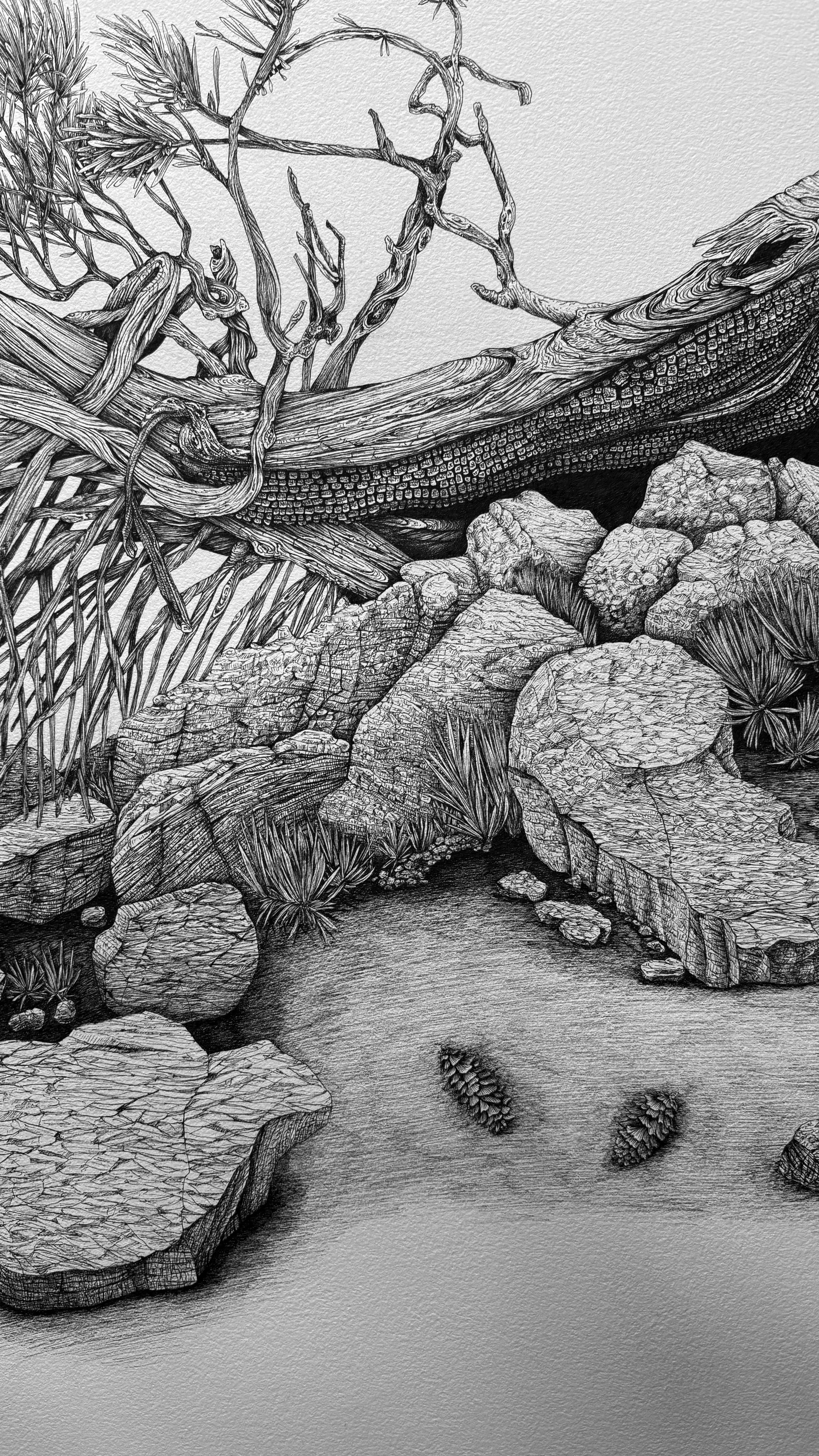 BRISTLE-CONE-DETAIL 4.jpg (Copy)