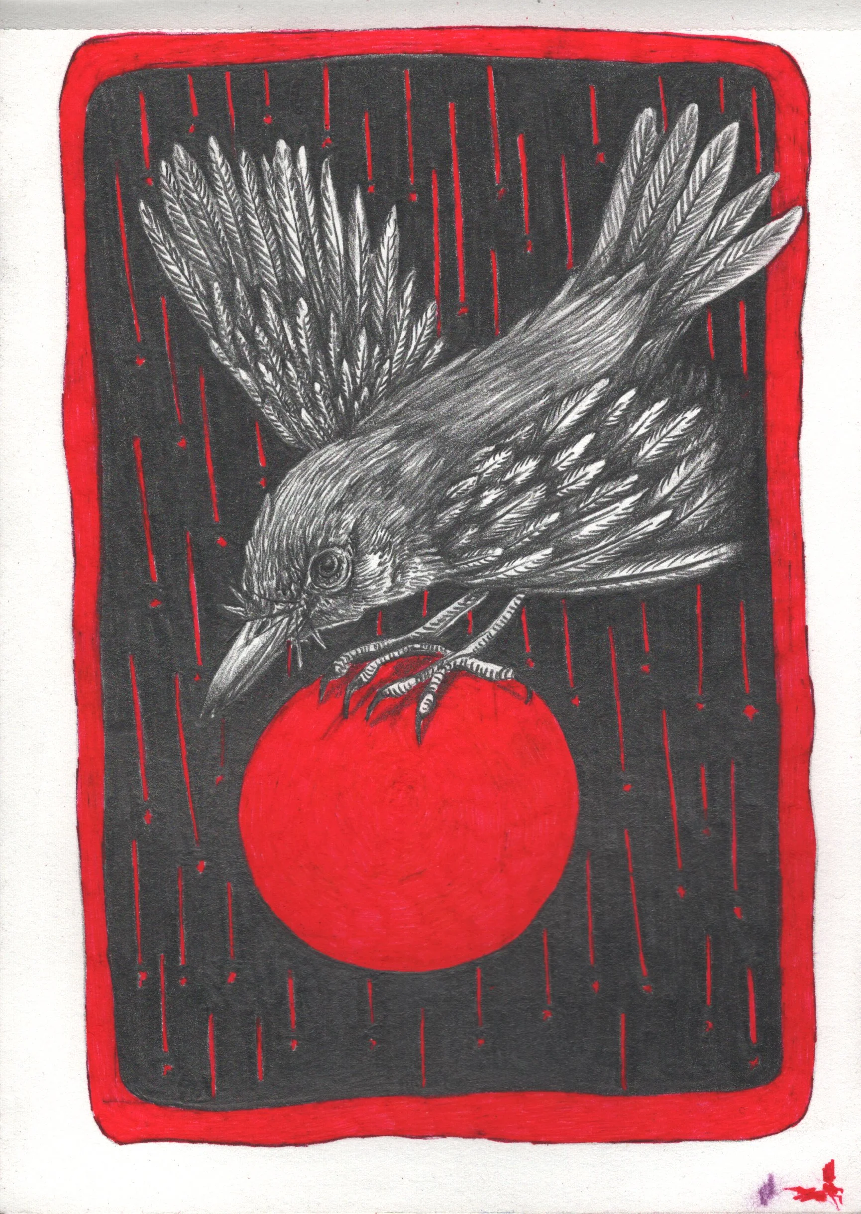 Catching The Sun Print 5x7