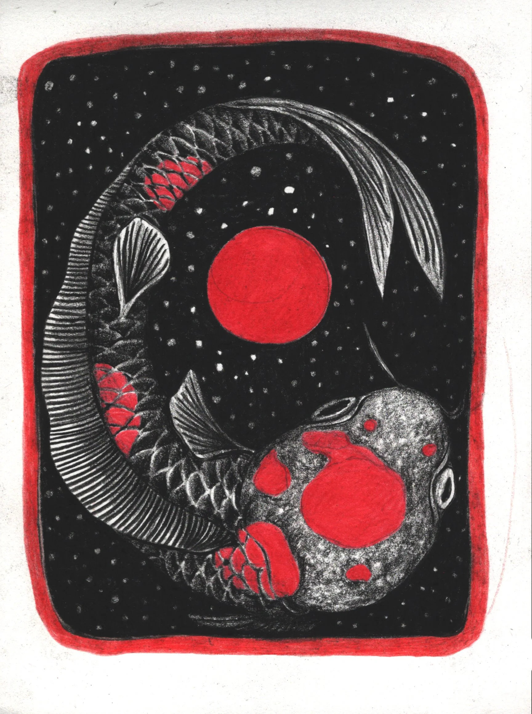 Midnight Swimmer Print 5x7