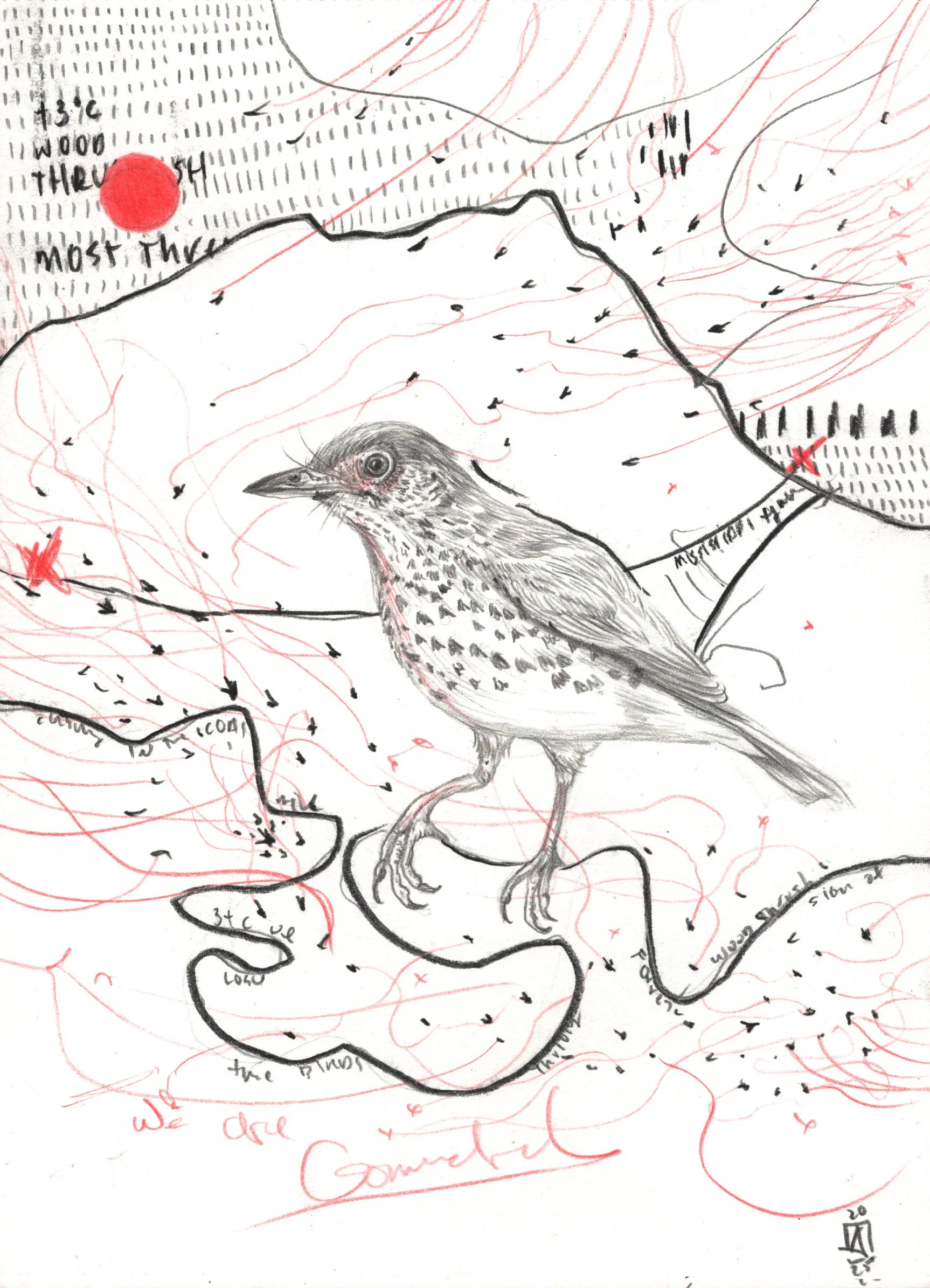 We Are Grounded Print 5x7