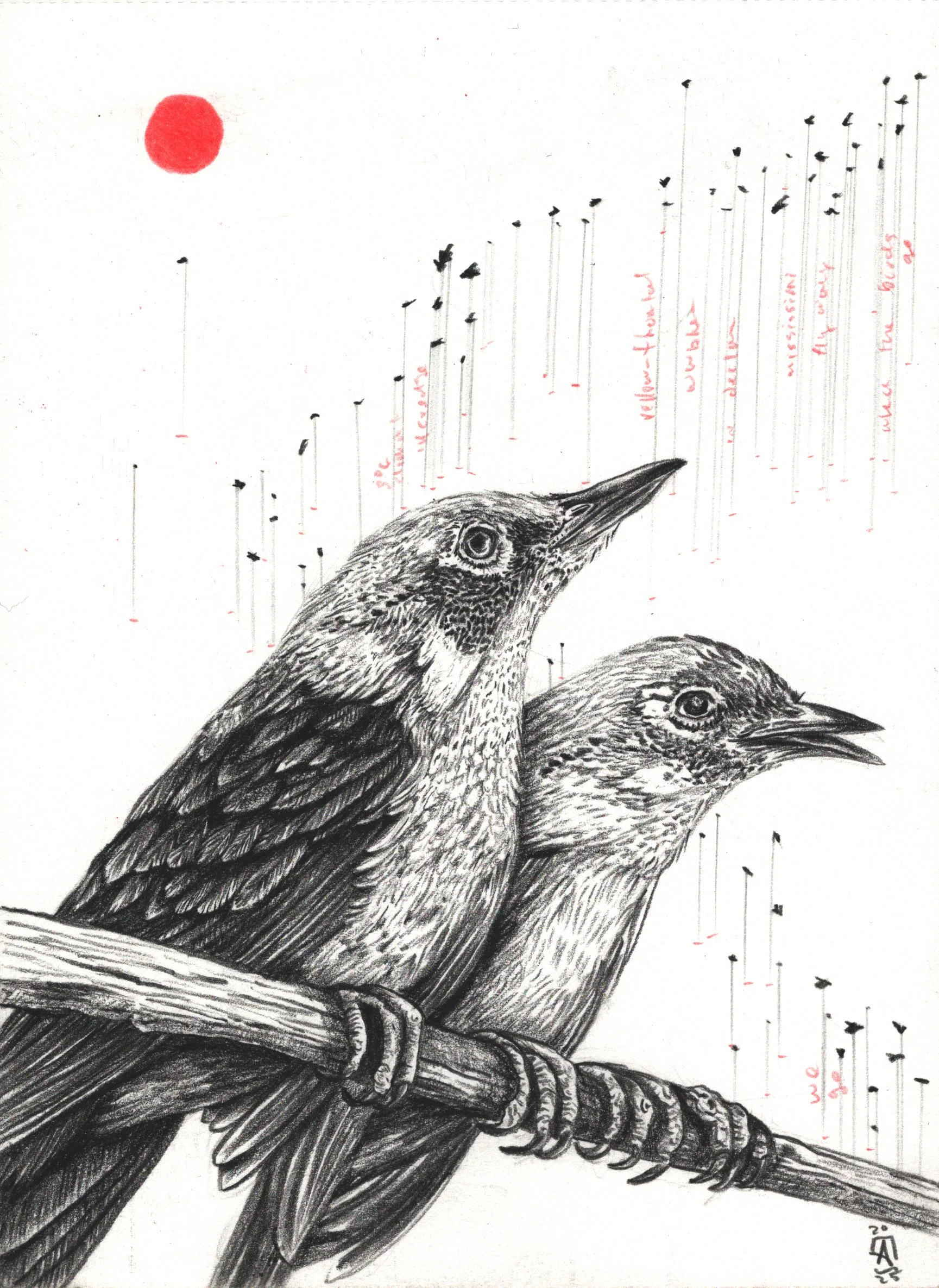 Rescheduled Print 5x7