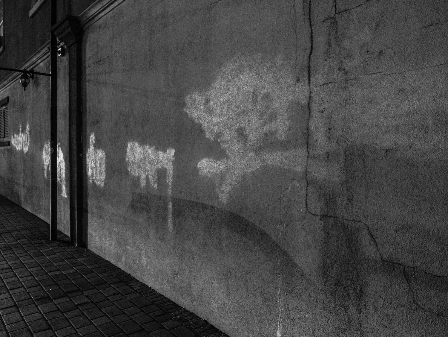 P1010352.jpg