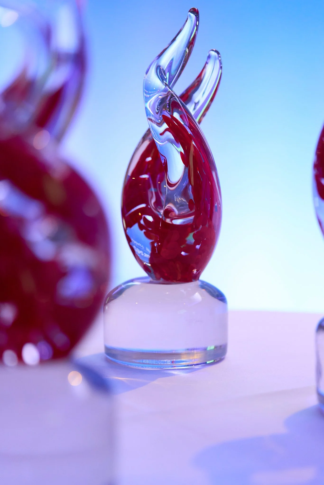 Atlanta-Event-Photography-Galas-Awards-Luncheons-DSC01223.jpg
