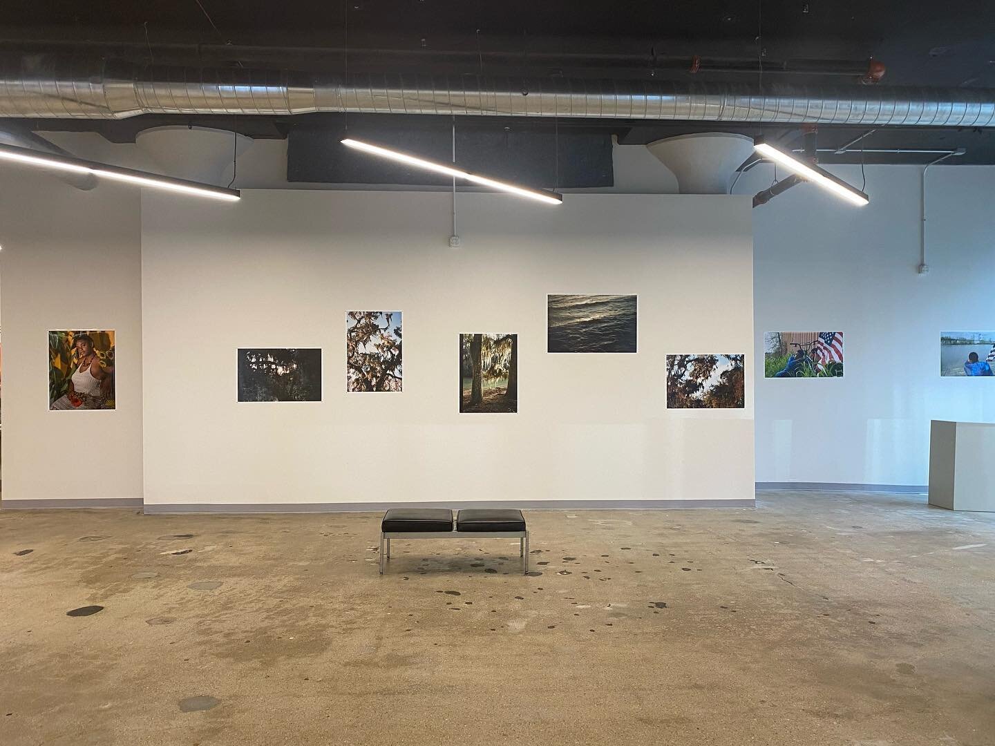 On view now @artacademyofcincinnati thru Friday. 

Install by @olivegartin 
Photos by @museofire