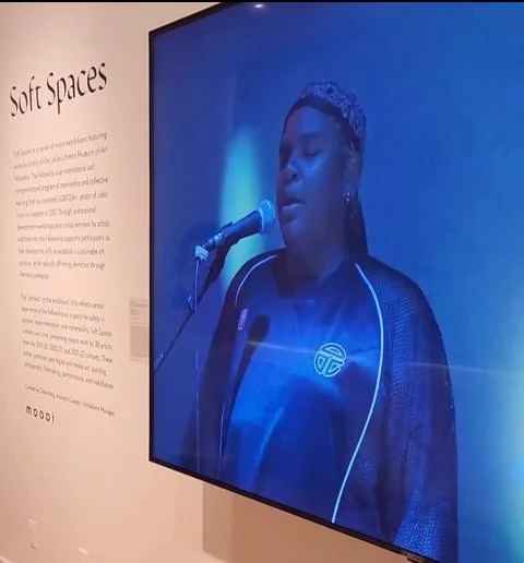 'New Suns' for Soft Spaces screening at Leslie Lohman Musuem