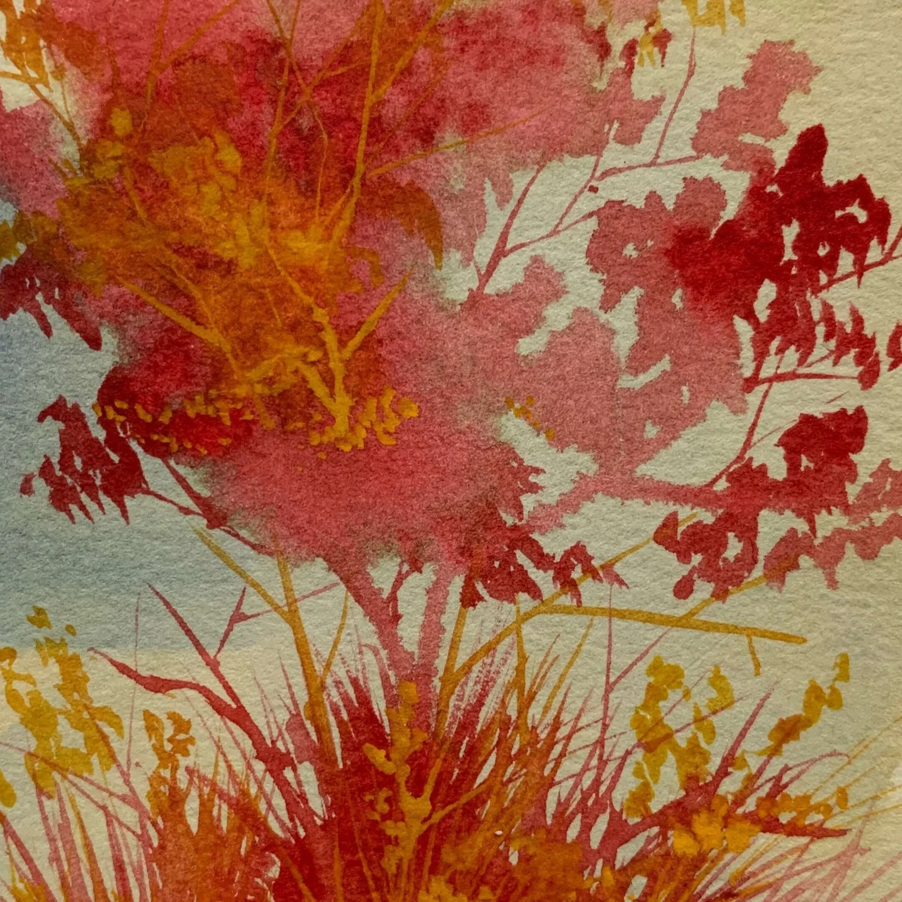 Meadows: Watercolor Studies 2019