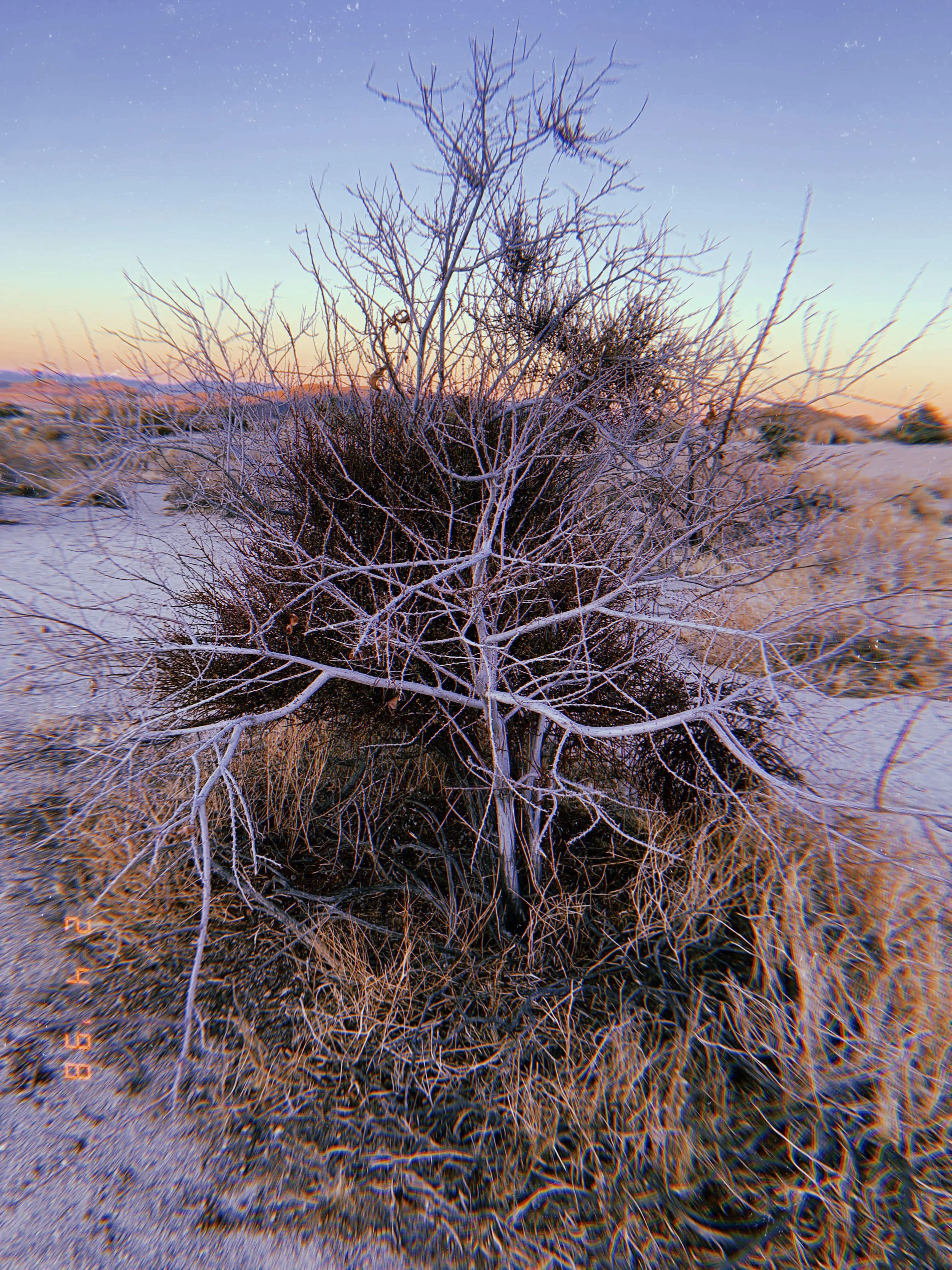 2021-02-04 17_10_06.772.jpeg