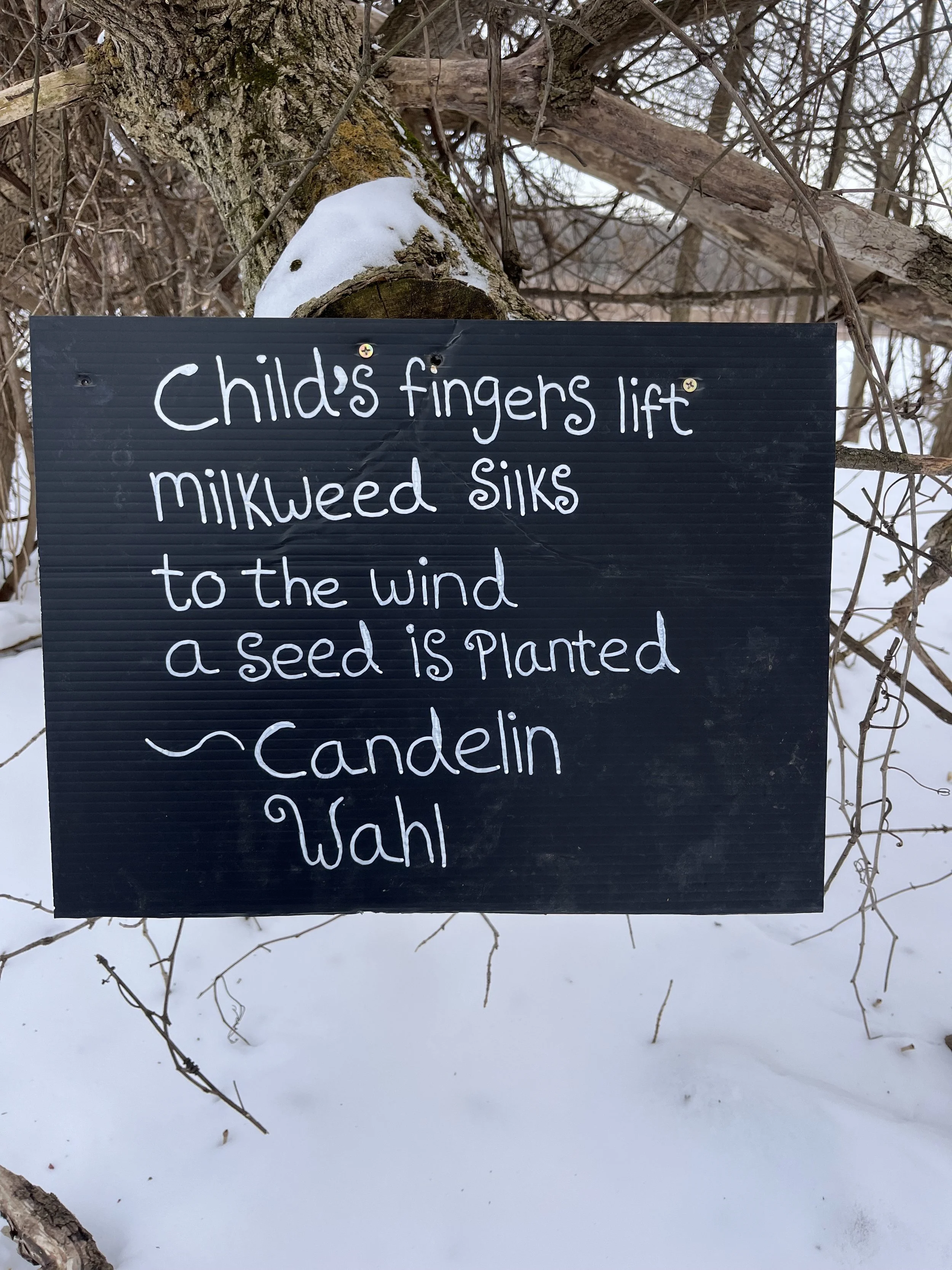Poem placard hanging on a wooded Poem Path In Burlington VT Intervale trail