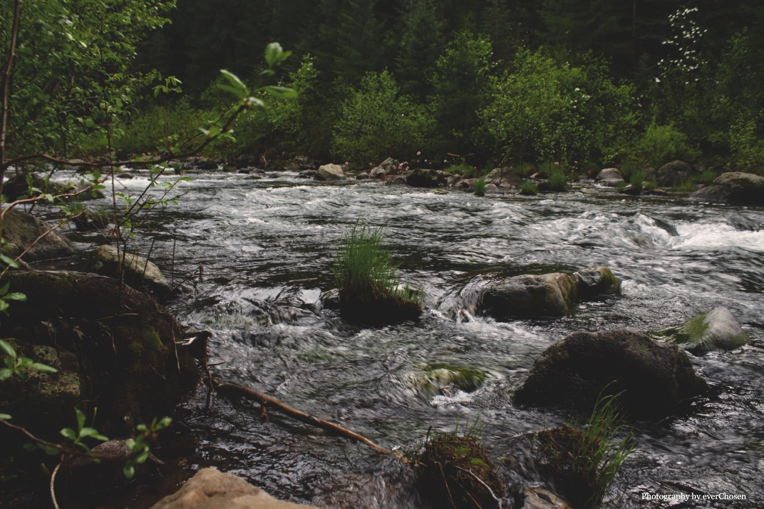 coverpic2.jpg