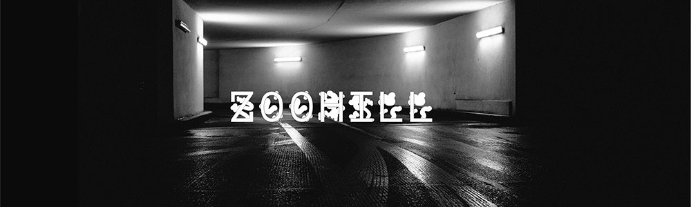 Zoohill_Banner_v1.png