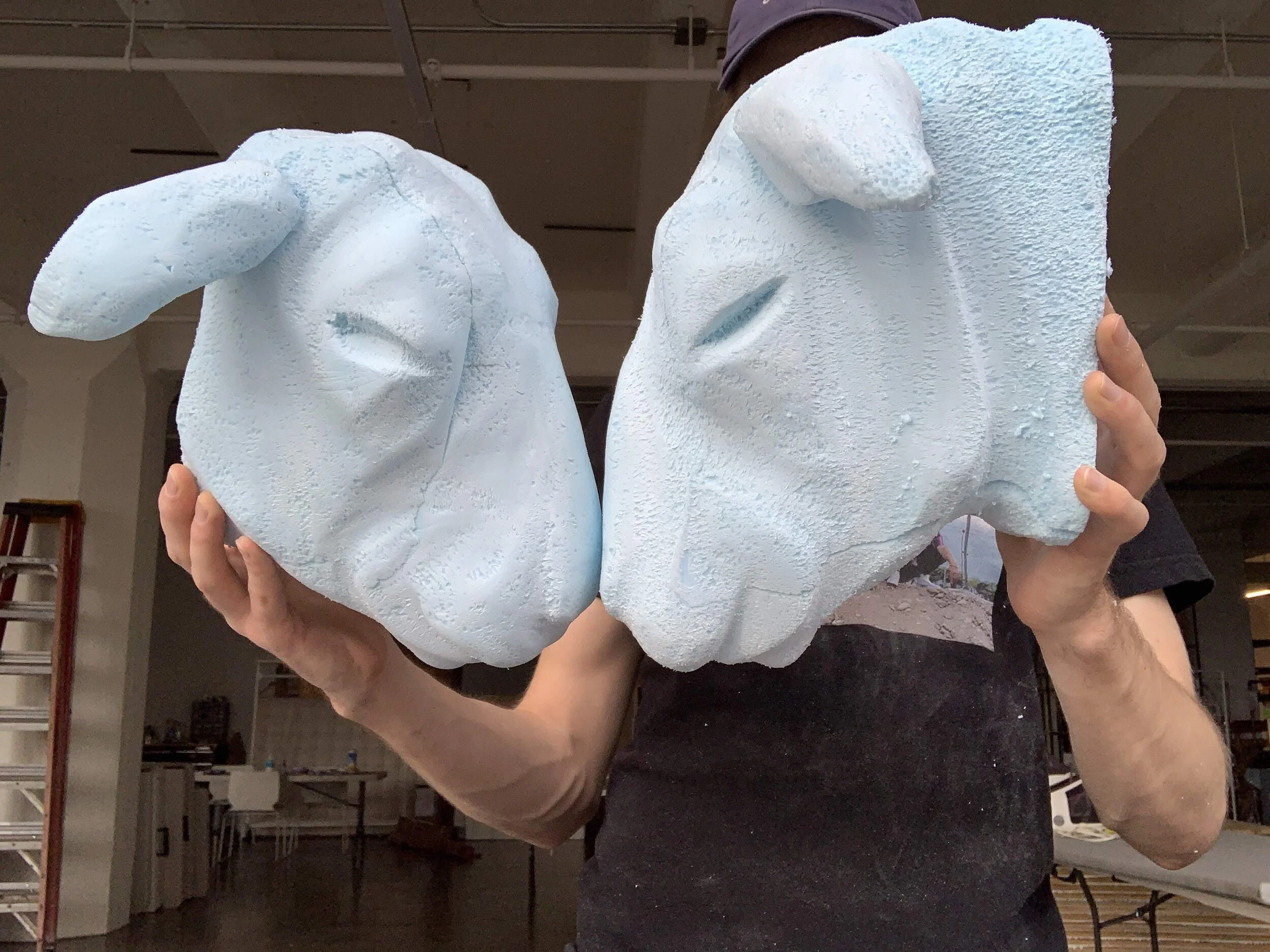 sheep head prog 2 copy.jpg