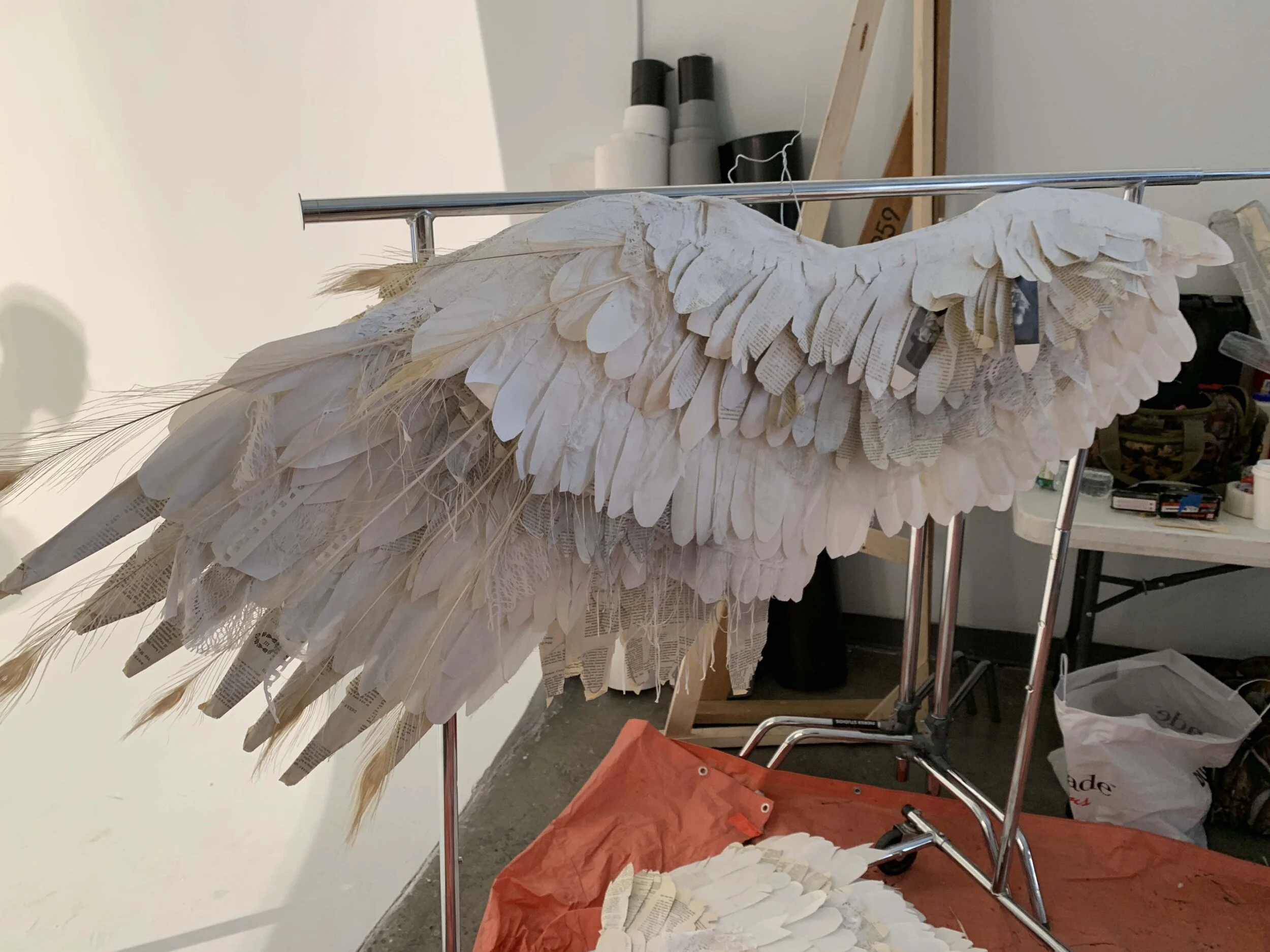 soloman wing prog .jpg