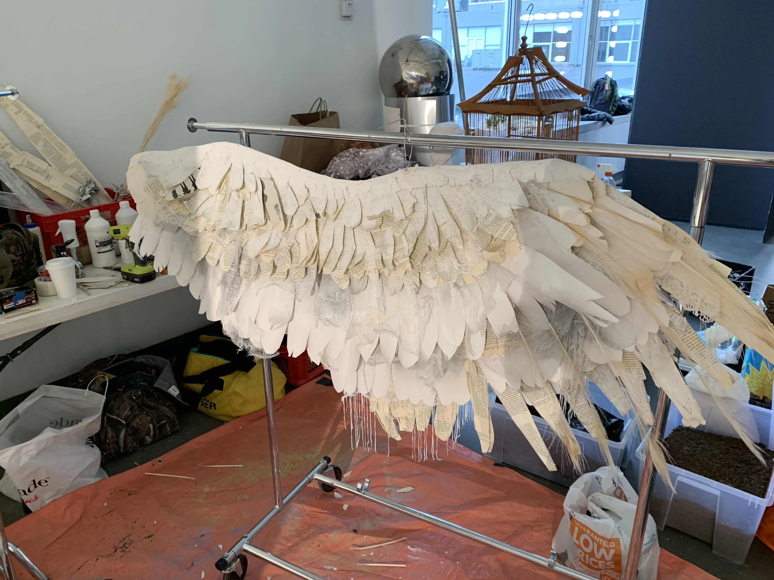 soloman wing prog 1.jpg