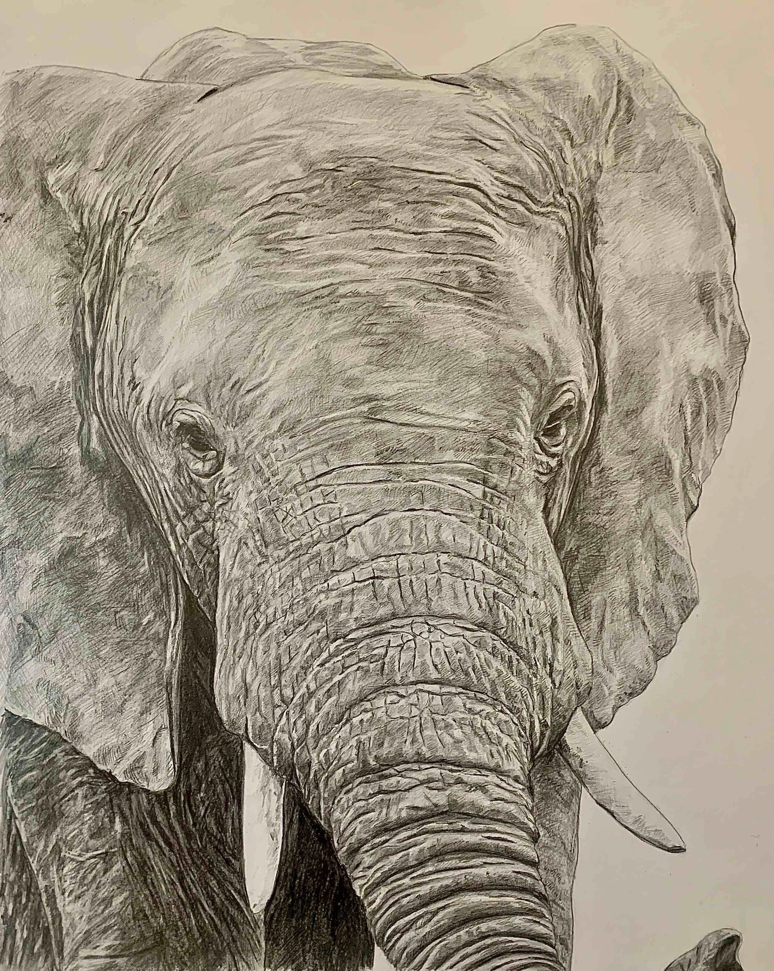  graphite 16x20 