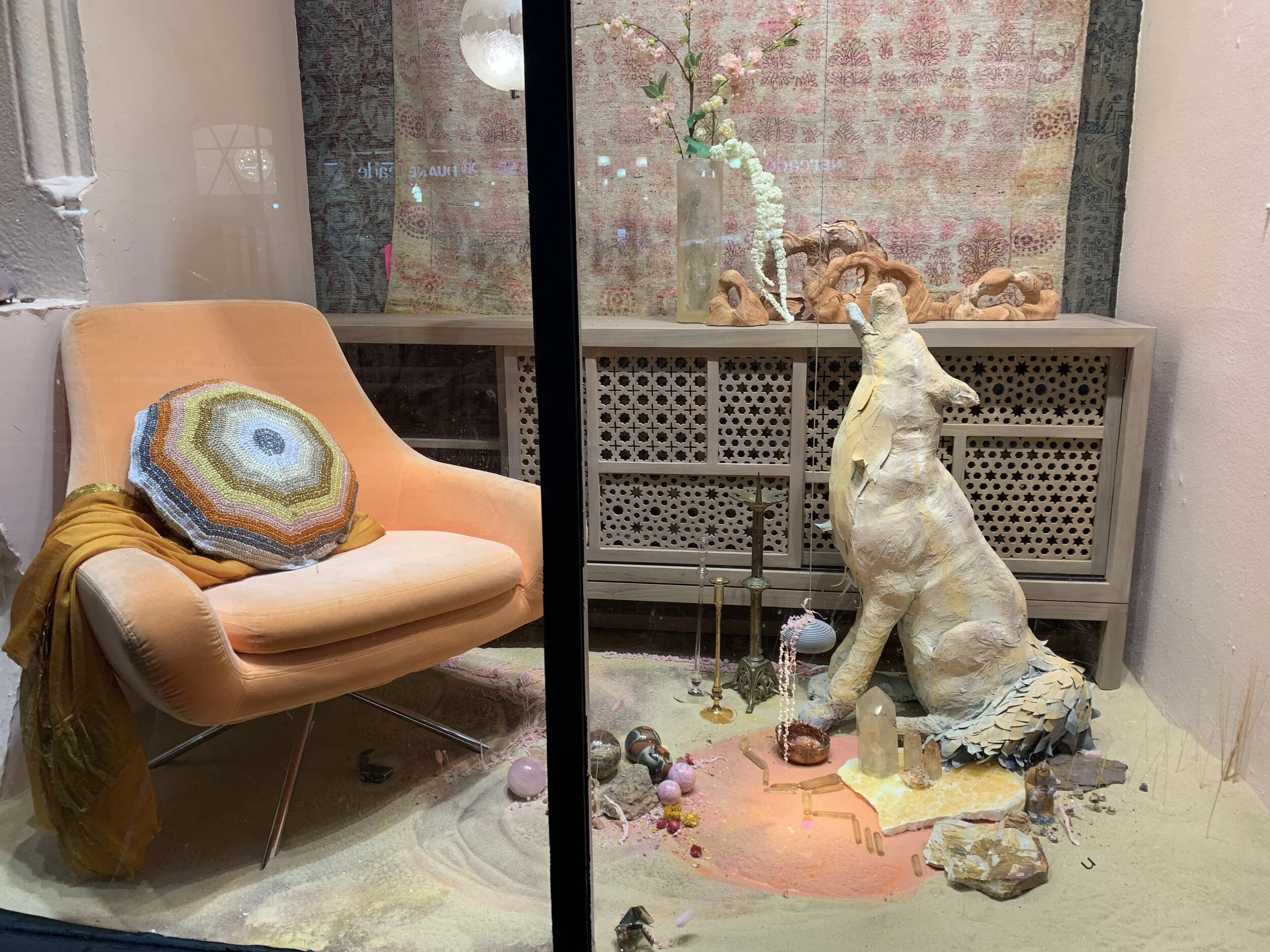 animal windows coyote.JPG