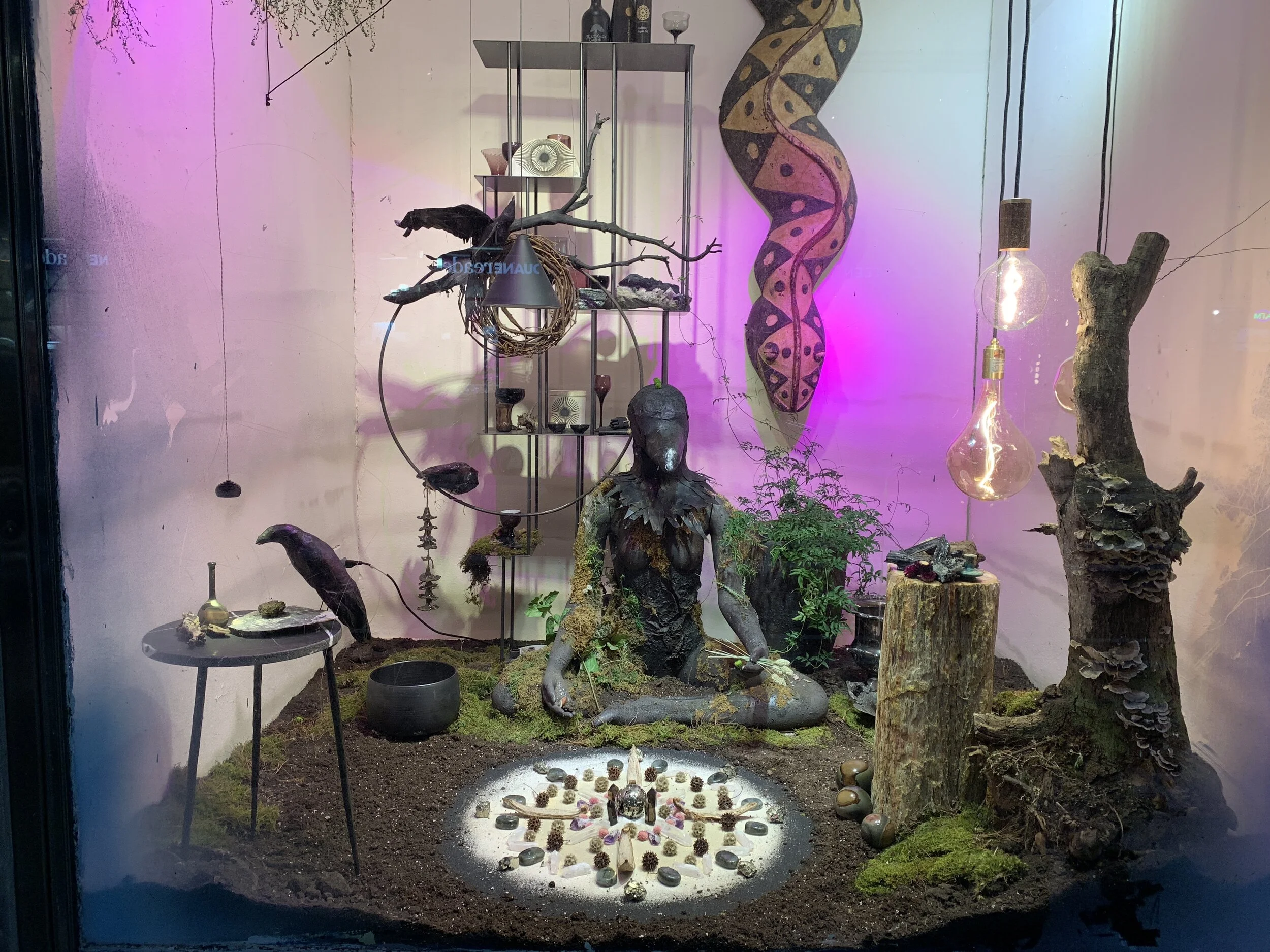 animal windows crow.JPG