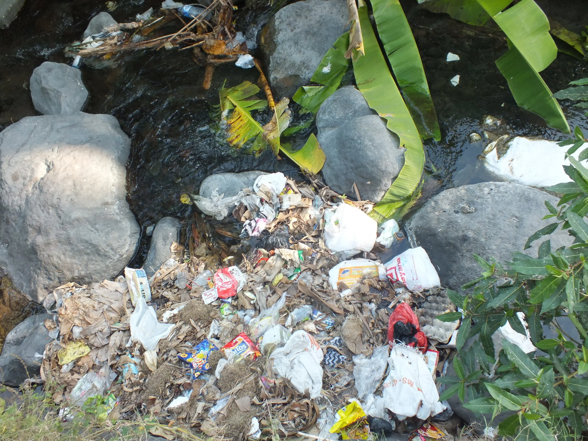 Environmental impact — Baby In sync