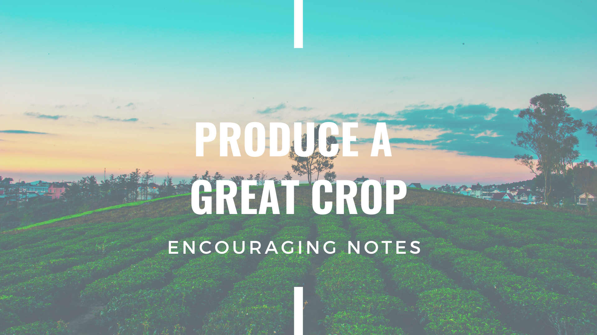 PRODUCE A GREAT CROP&nbsp;