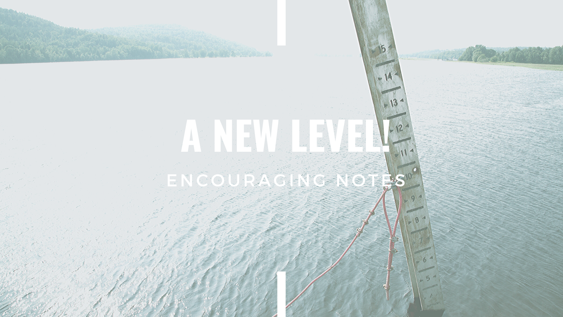 A NEW LEVEL!&nbsp;