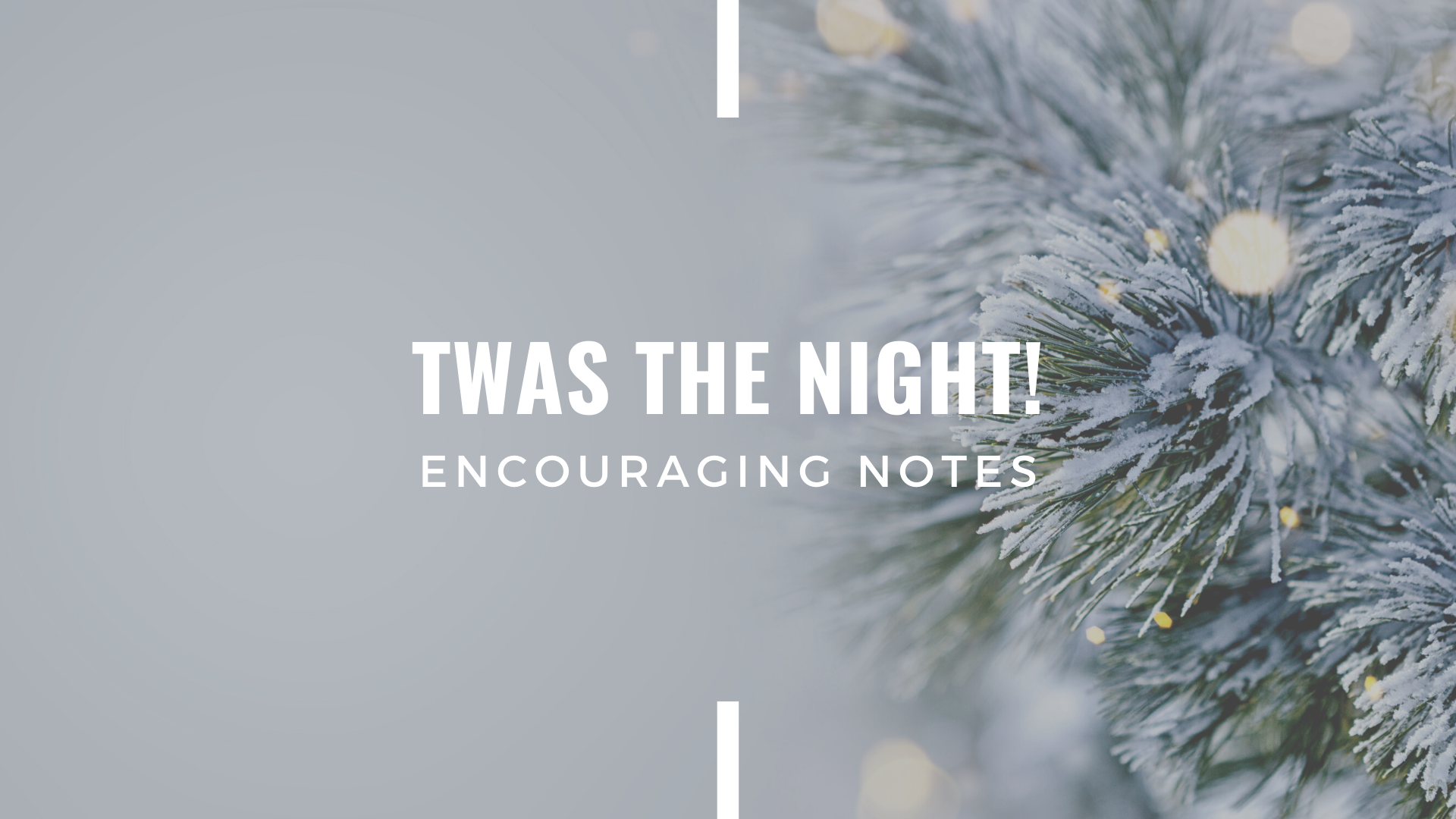 TWAS THE NIGHT!