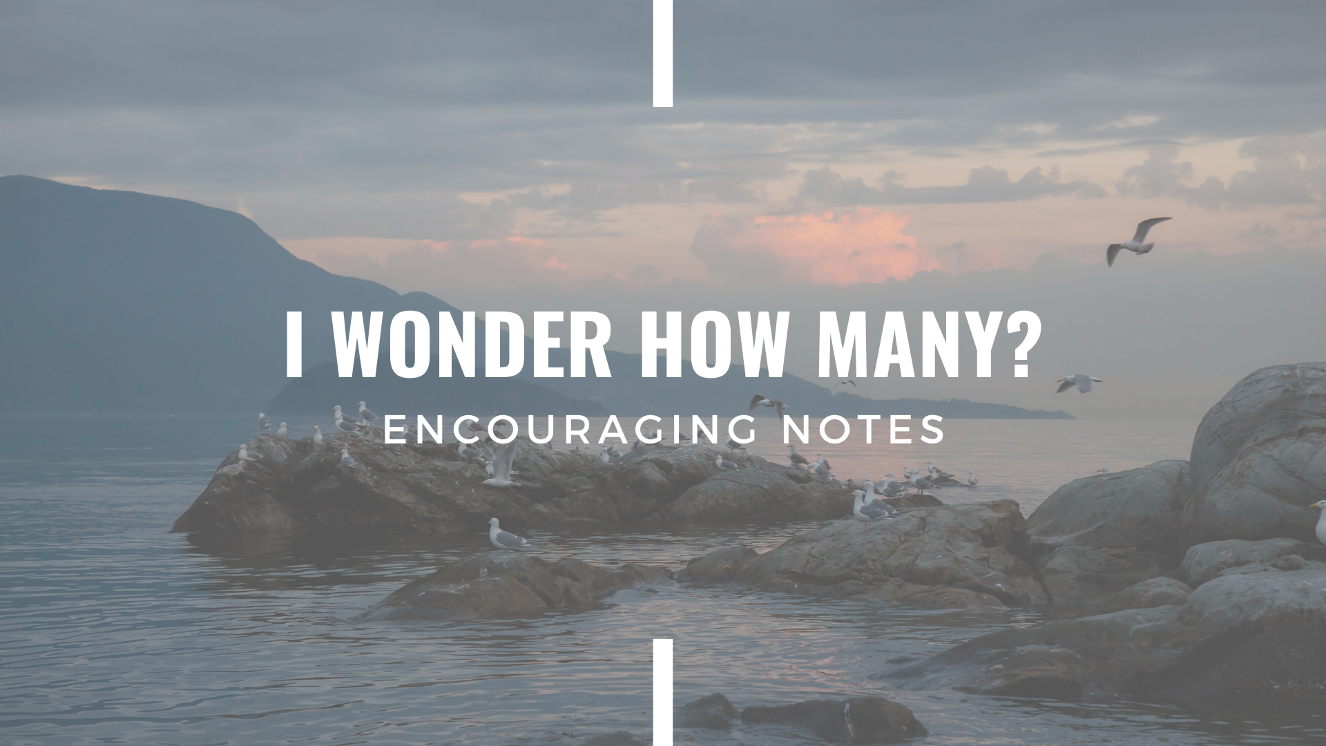 I WONDER HOW MANY?