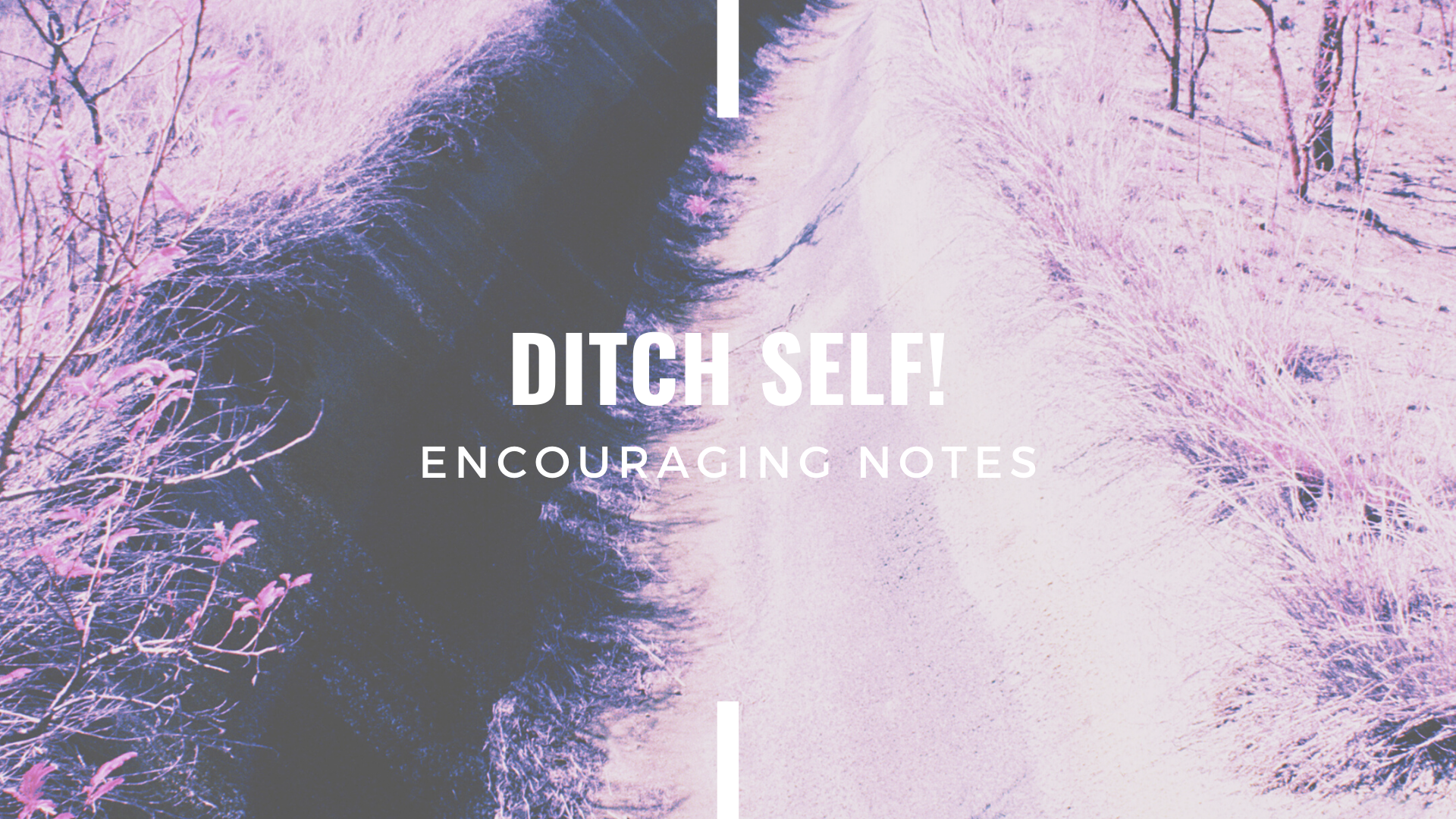 DITCH SELF!&nbsp;