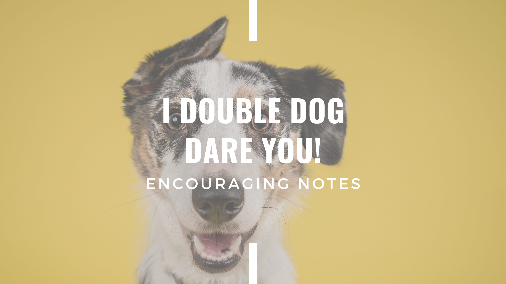 I DOUBLE DOG DARE YOU!