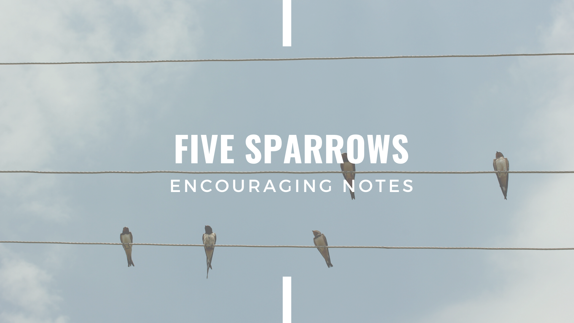 FIVE SPARROWS