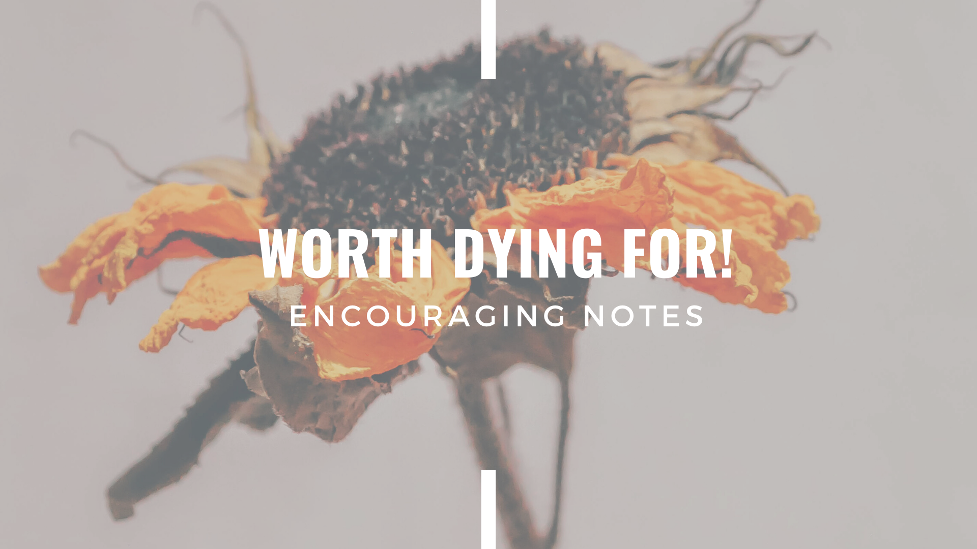 WORTH DYING FOR!&nbsp;&nbsp;
