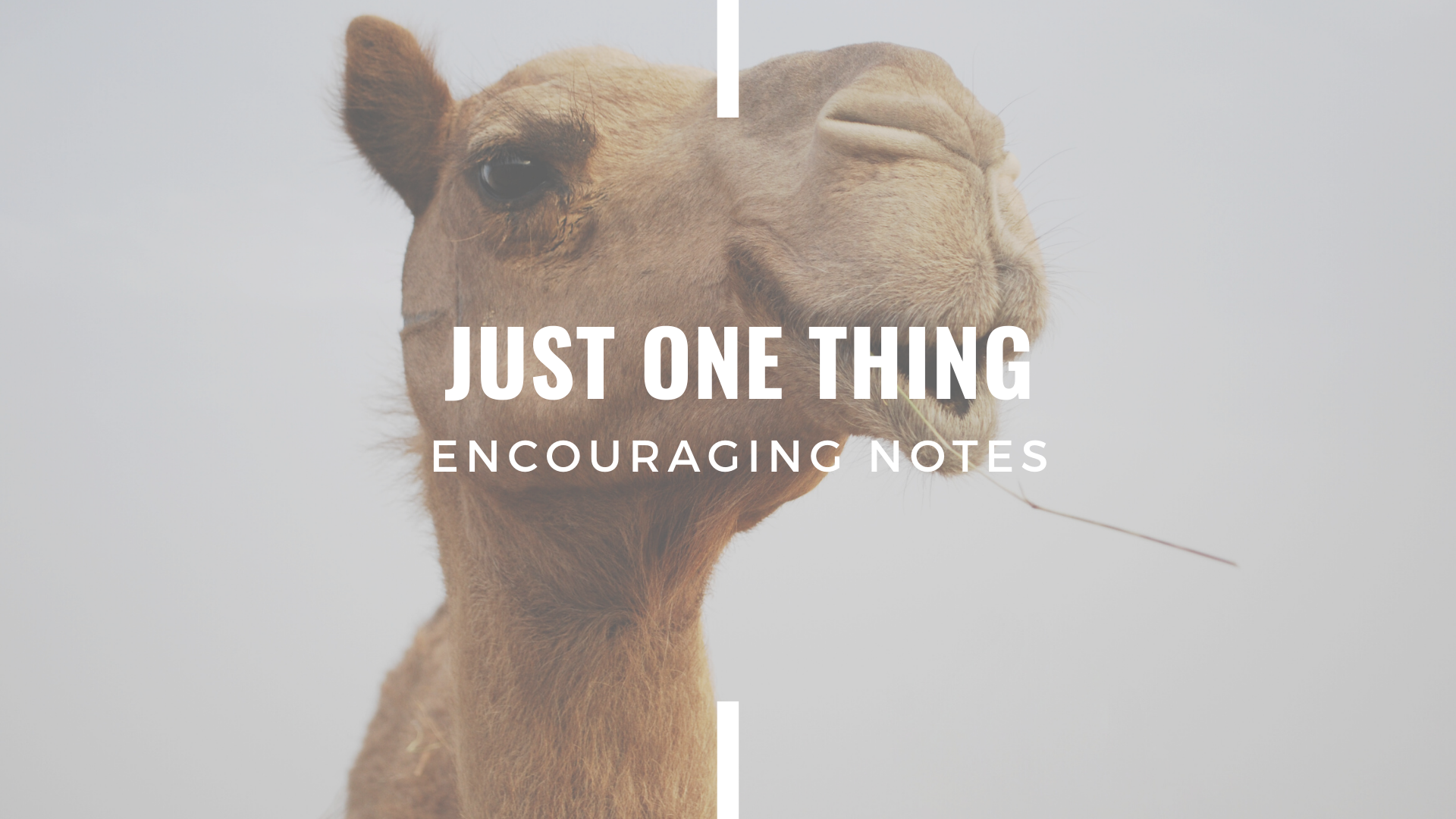 JUST ONE THING