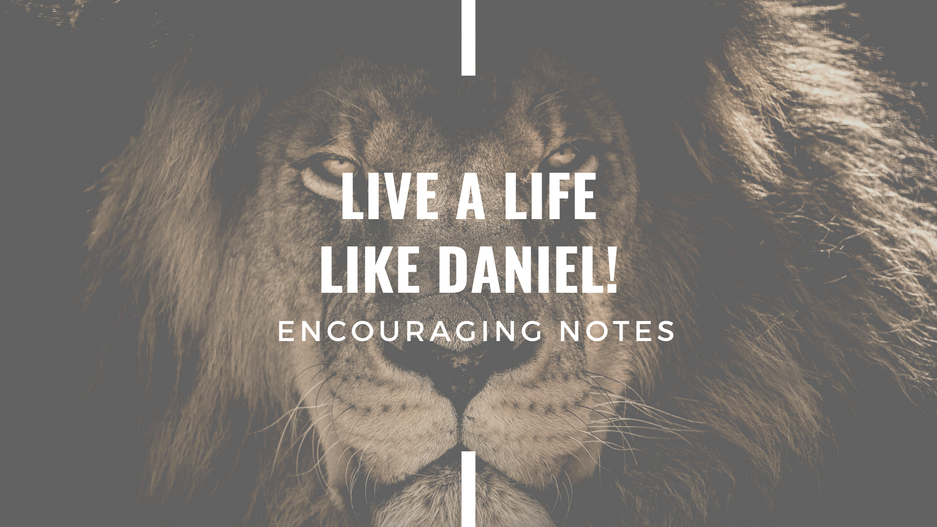 LIVE A LIFE LIKE DANIEL! 