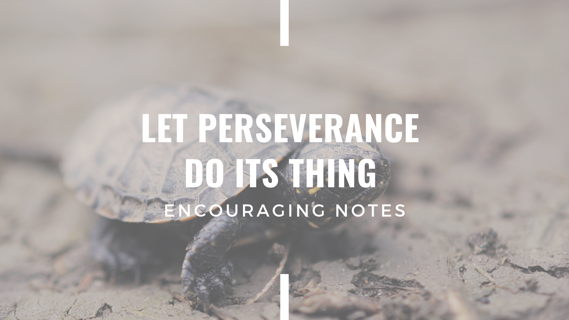 LET PERSEVERANCE DO ITS THING!