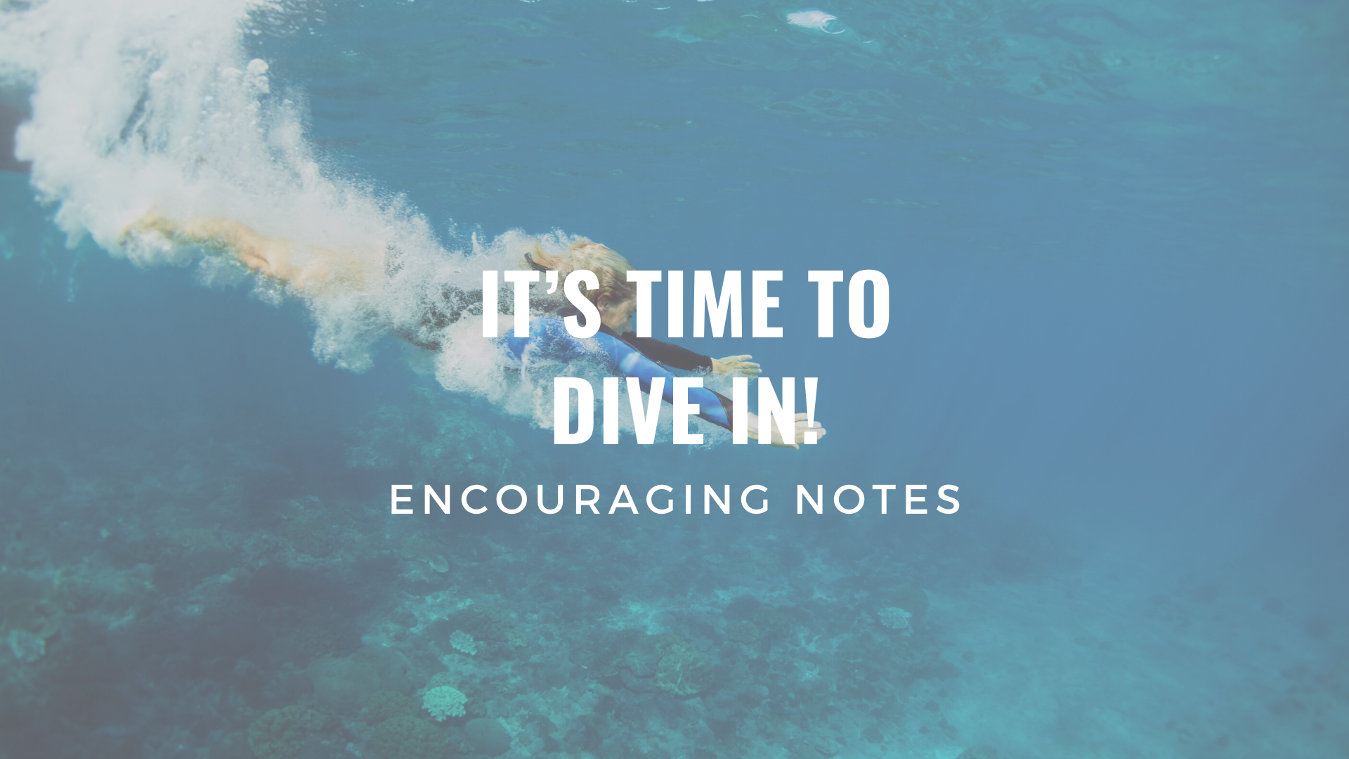 IT’S TIME TO DIVE IN!