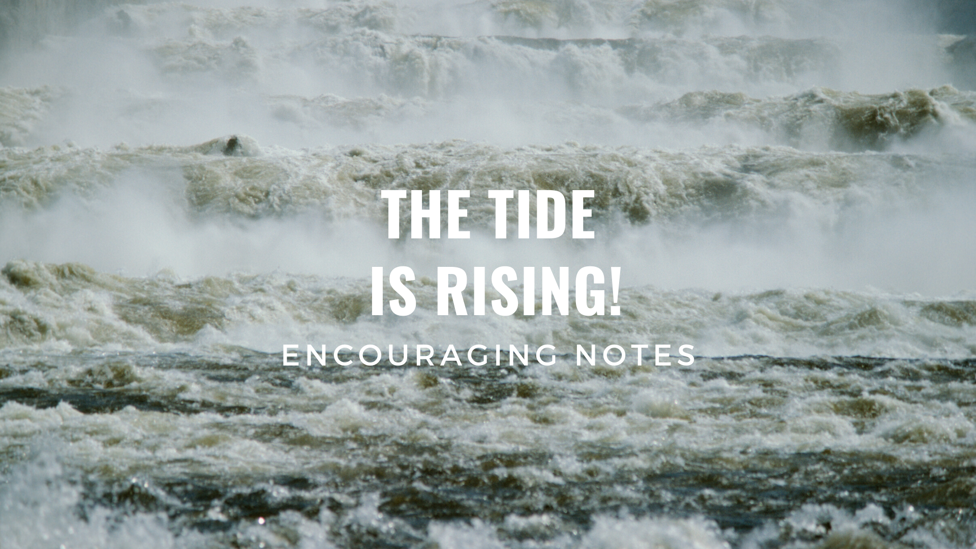 THE TIDE IS RISING!